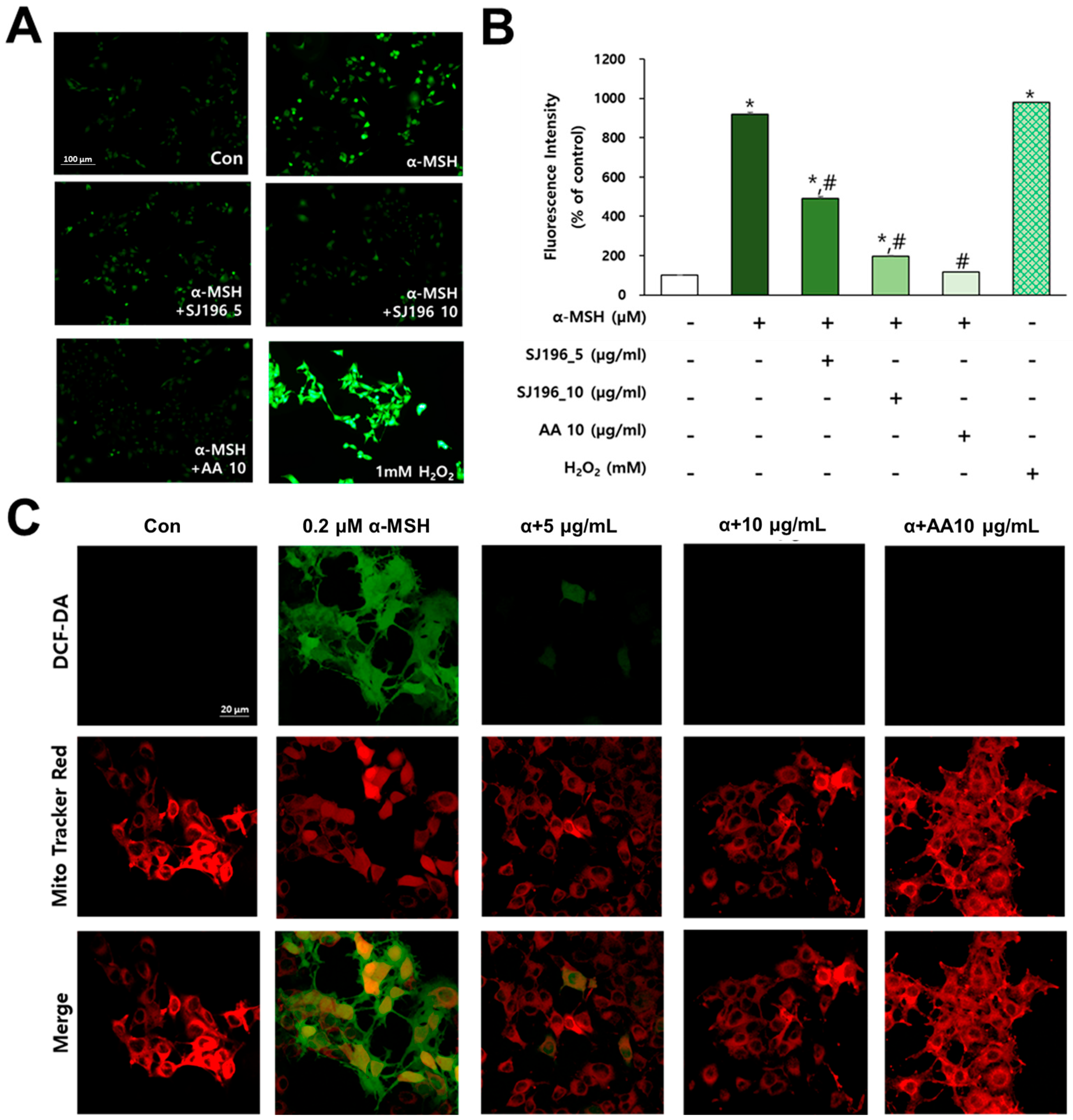 Marinedrugs 23 00448 g004