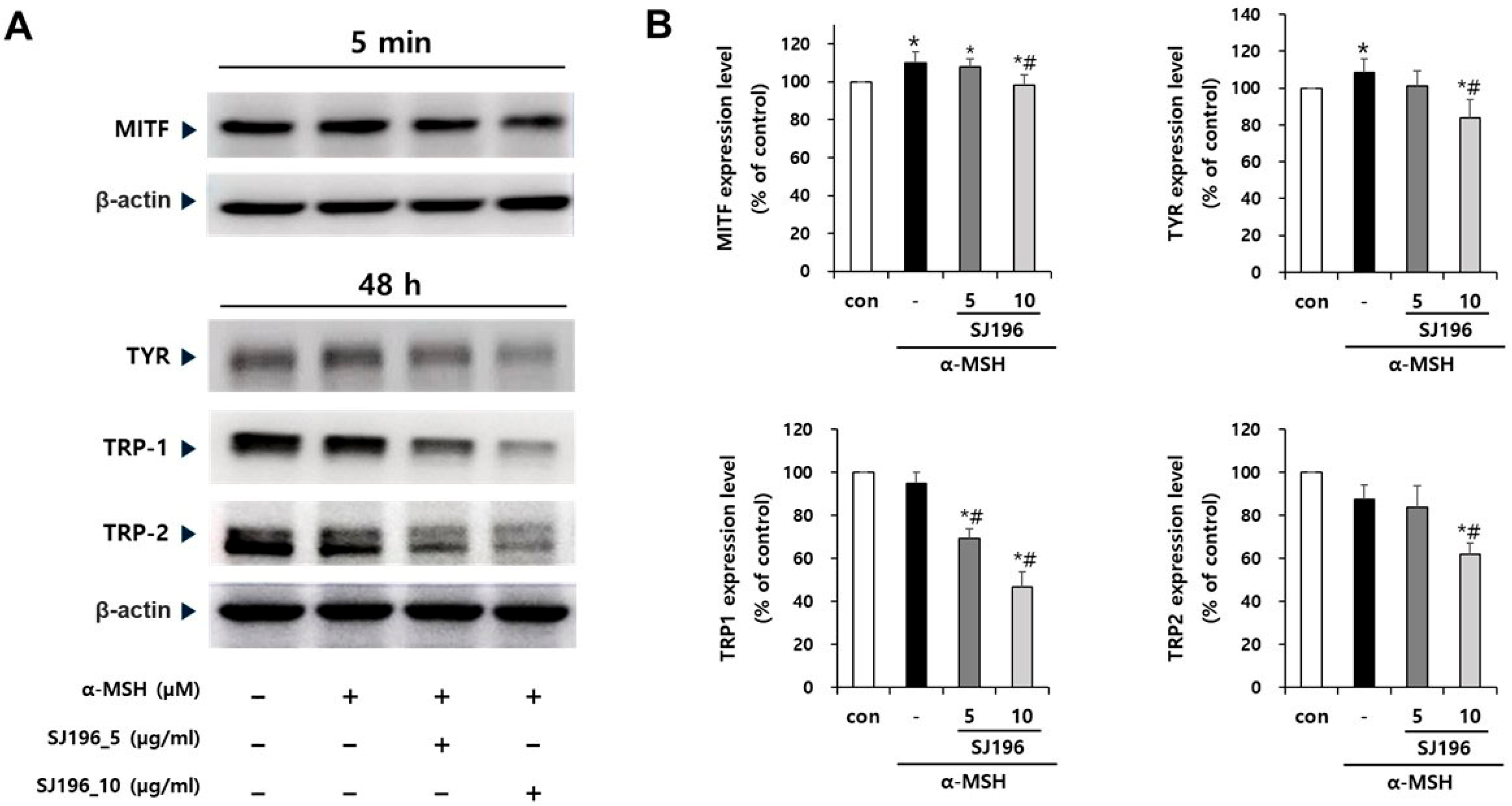 Marinedrugs 23 00448 g006
