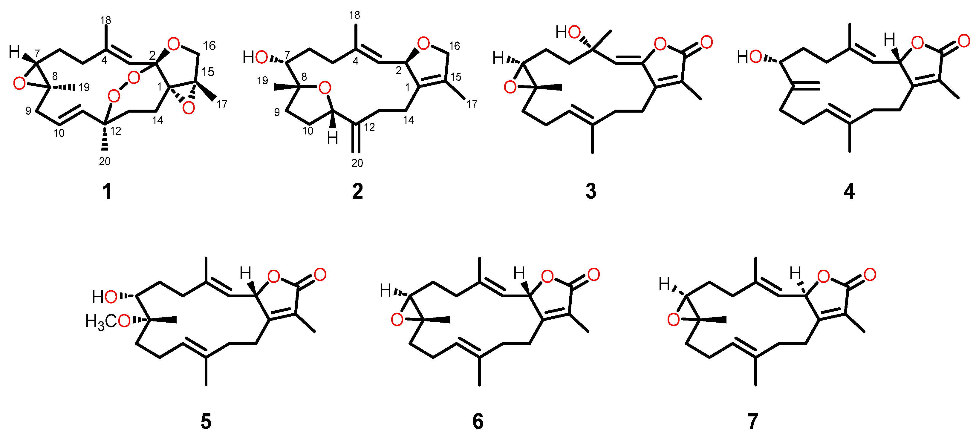 Marinedrugs 23 00450 g002