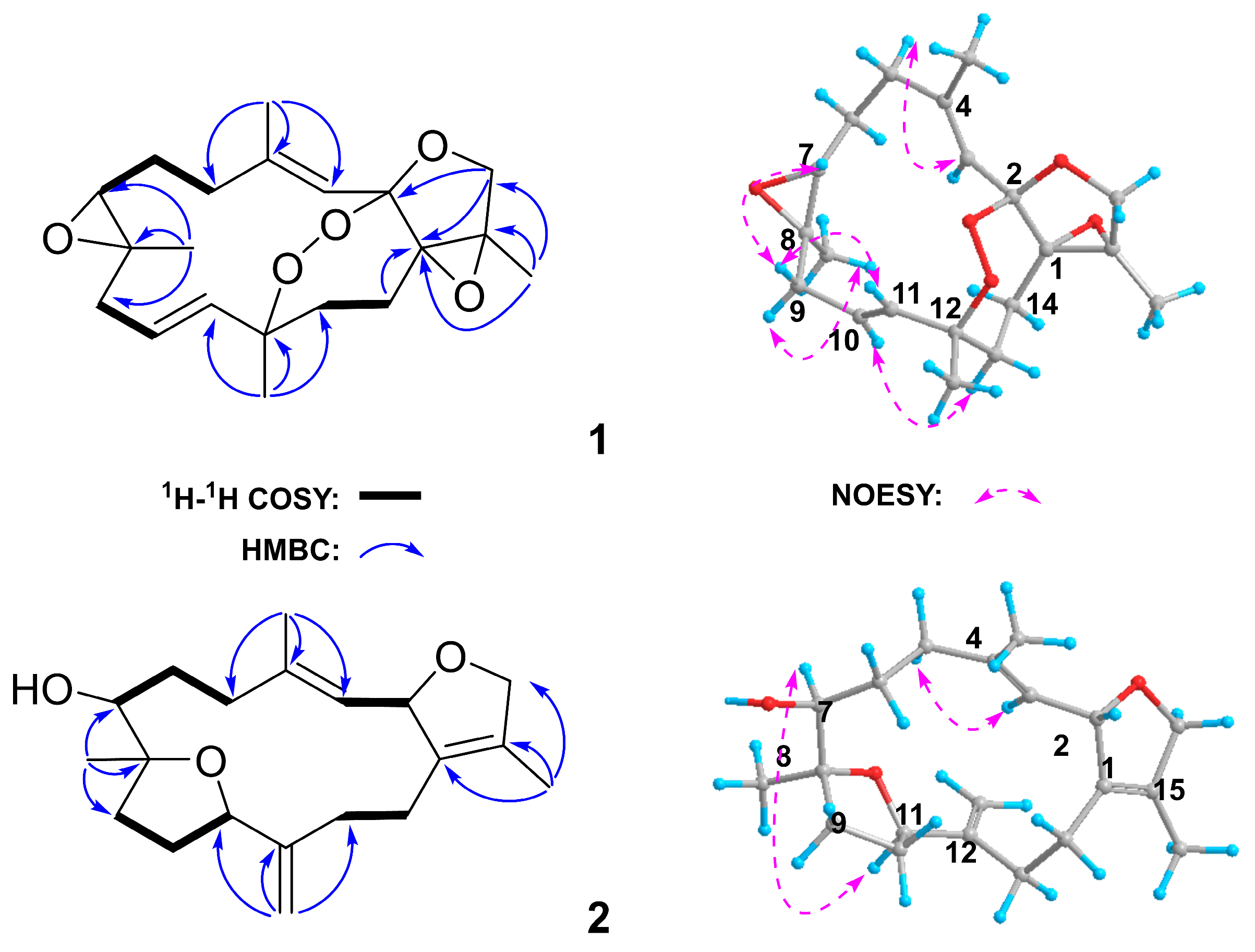 Marinedrugs 23 00450 g003