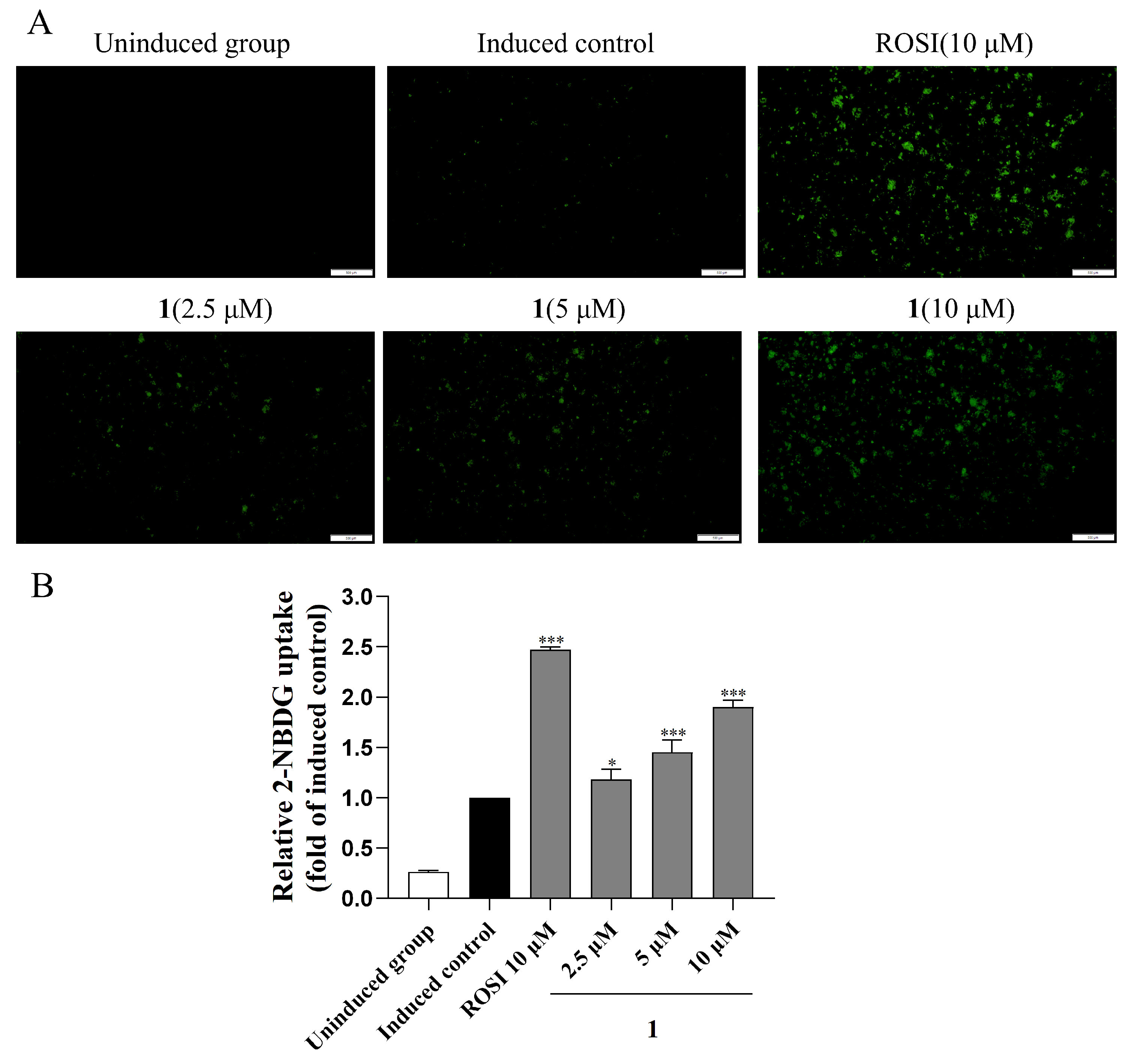 Marinedrugs 23 00450 g008