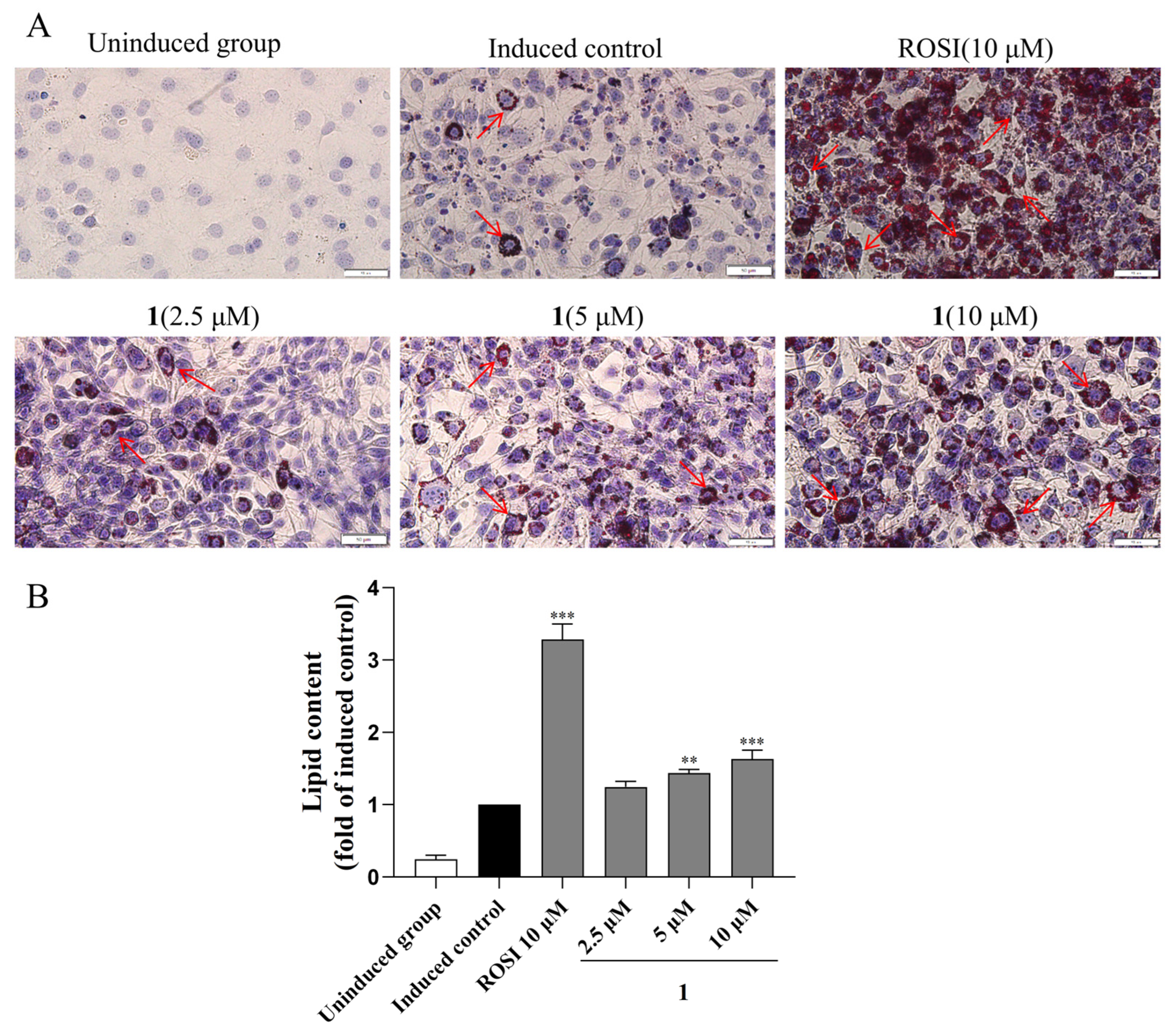 Marinedrugs 23 00450 g009