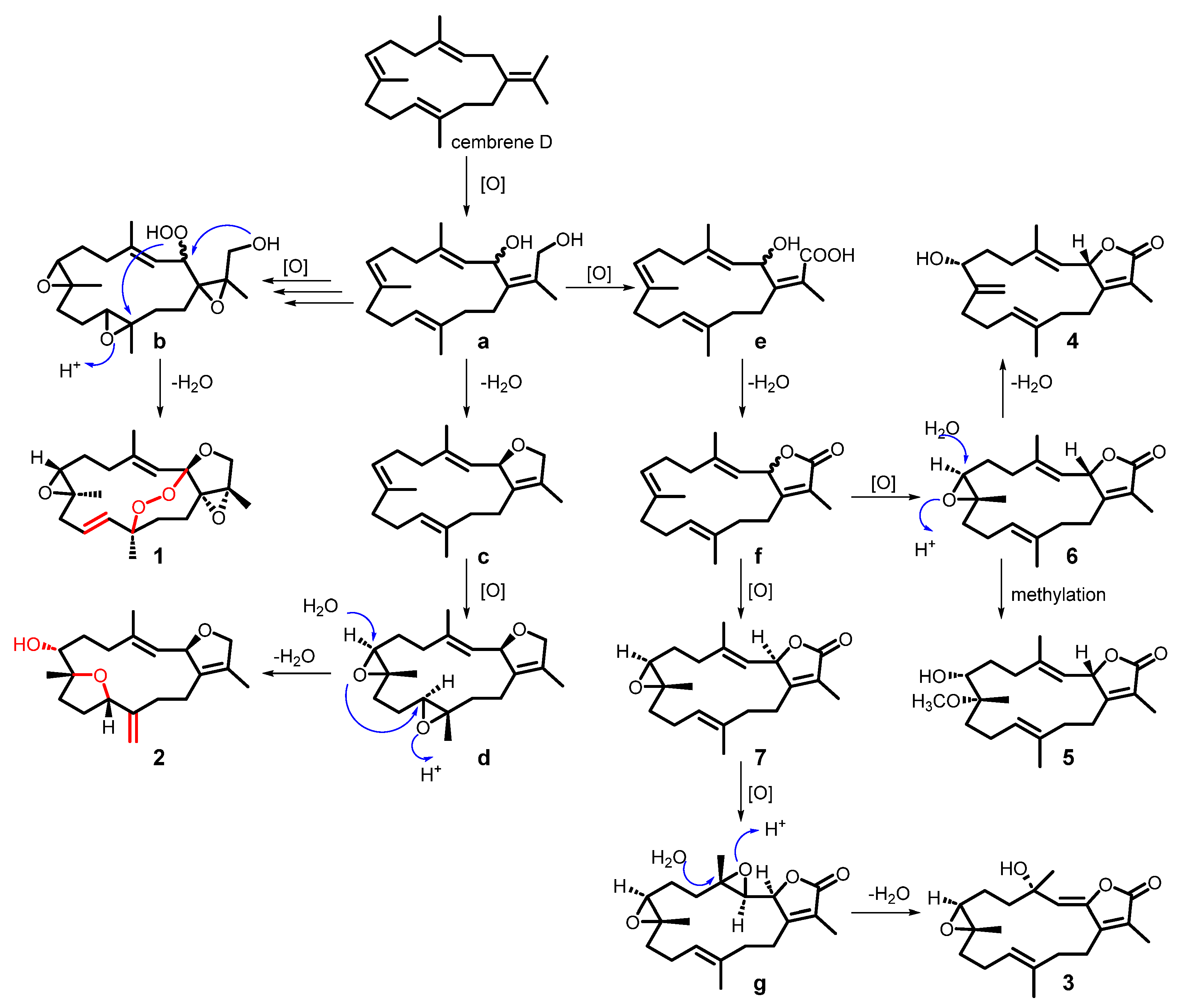 Marinedrugs 23 00450 sch001