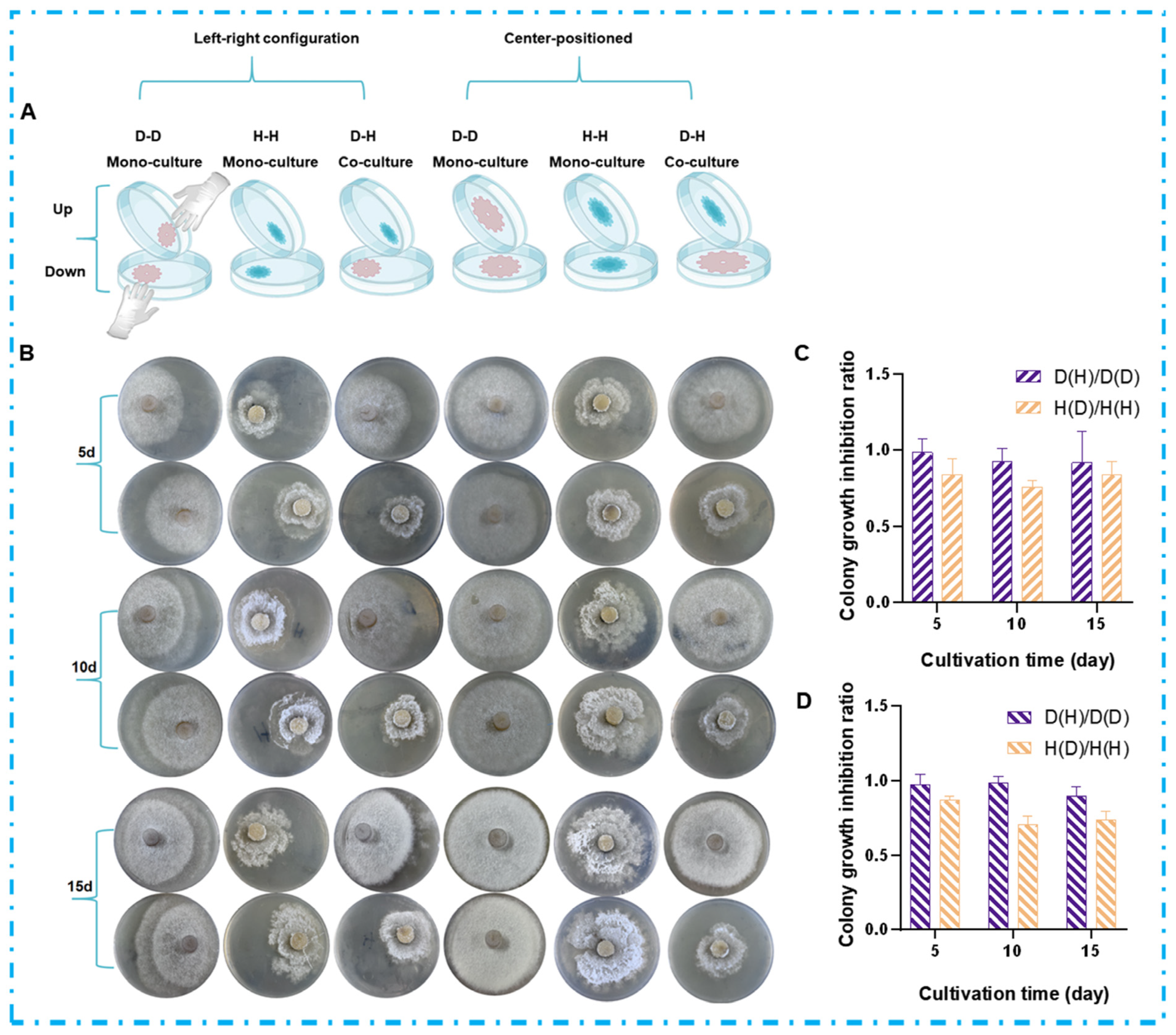 Marinedrugs 23 00452 g003 Marinedrugs 23 00452 g003
