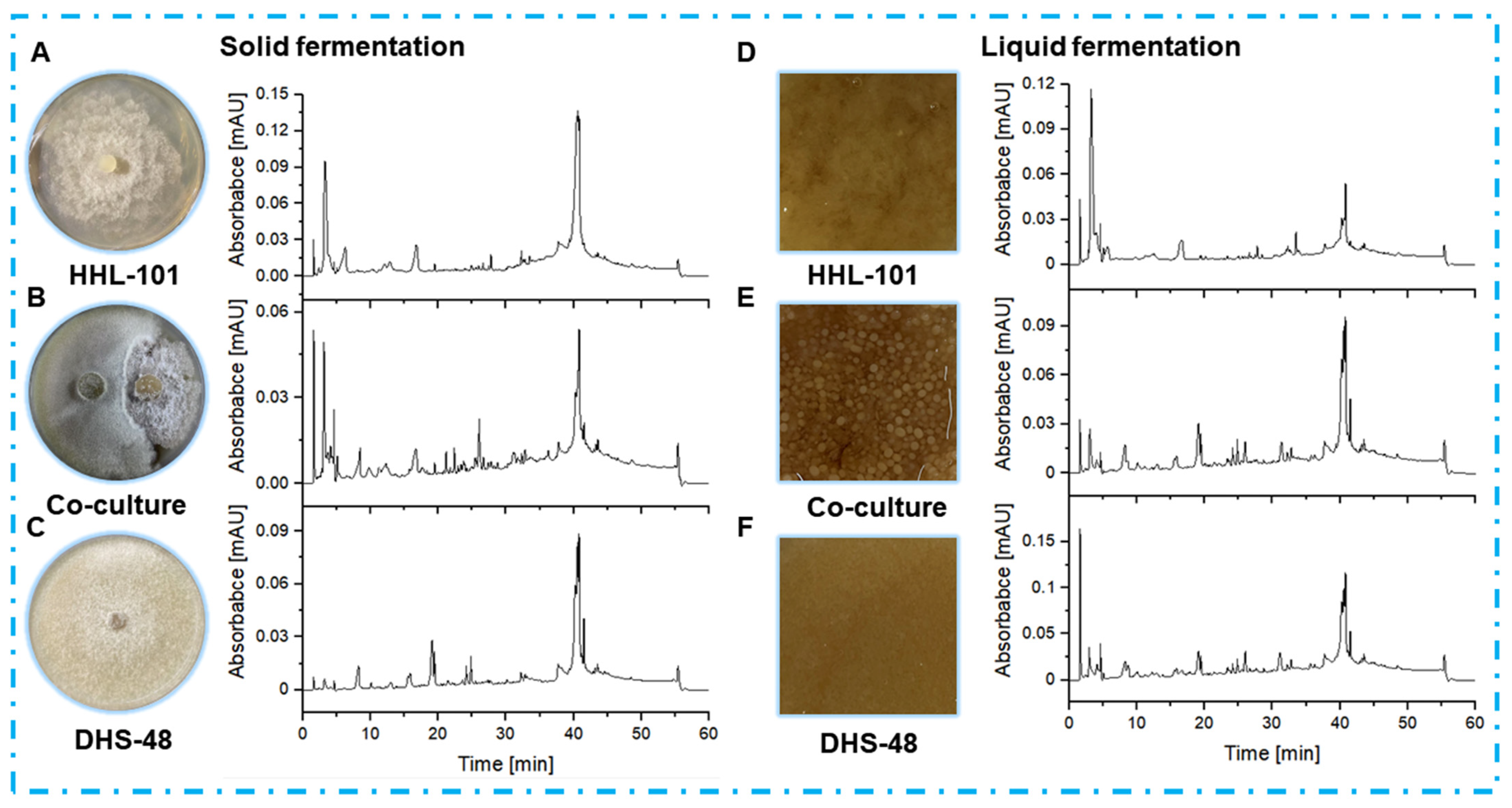 Marinedrugs 23 00452 g005 Marinedrugs 23 00452 g005
