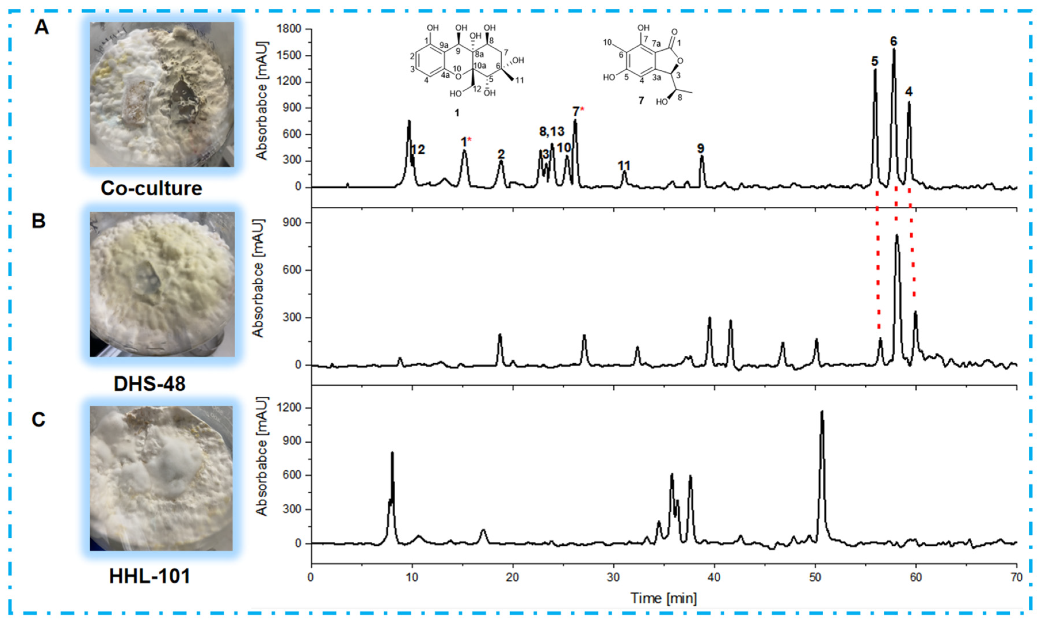 Marinedrugs 23 00452 g006 Marinedrugs 23 00452 g006