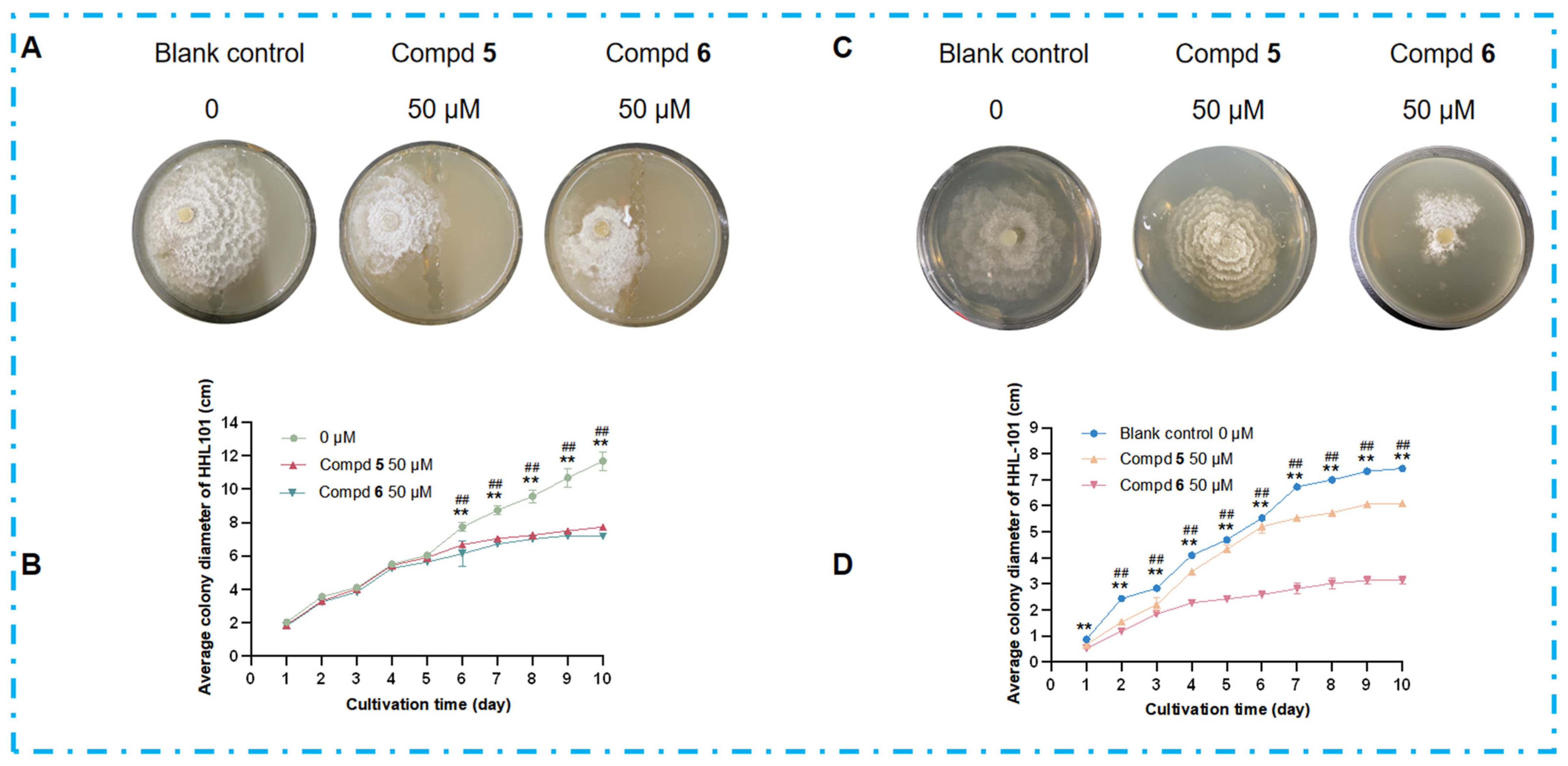 Marinedrugs 23 00452 g010 Marinedrugs 23 00452 g010