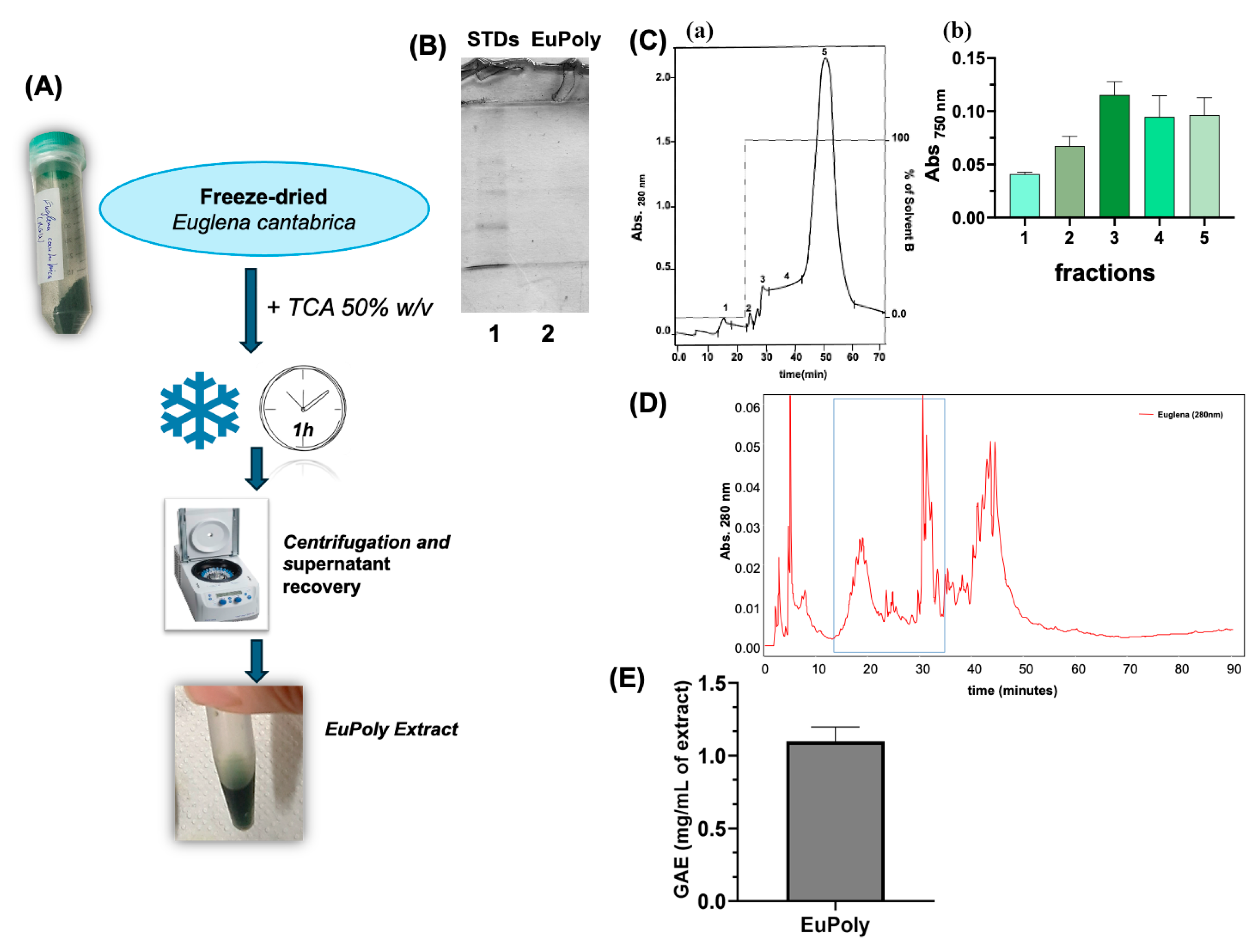 Marinedrugs 23 00453 g001 Marinedrugs 23 00453 g001