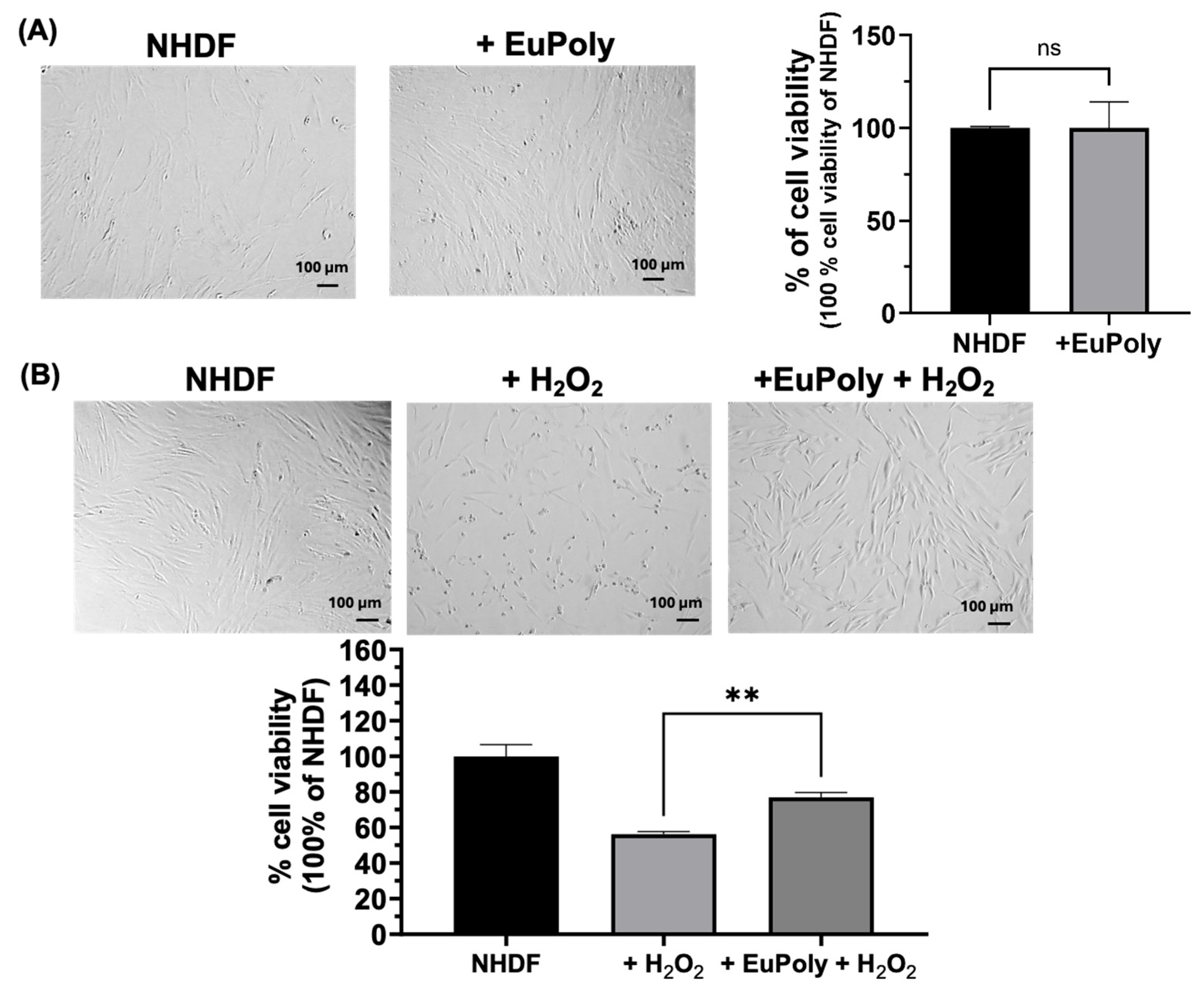 Marinedrugs 23 00453 g002 Marinedrugs 23 00453 g002