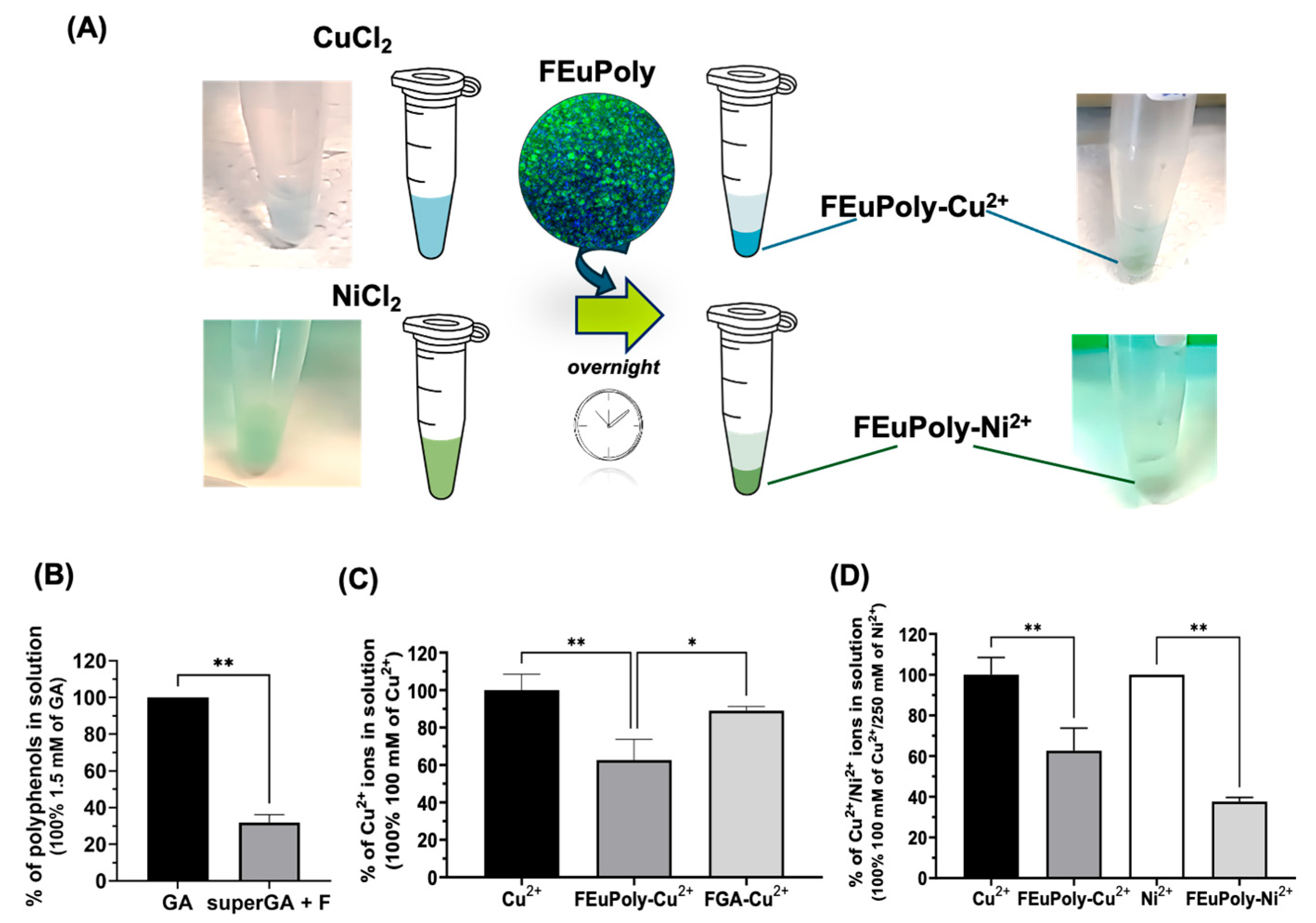 Marinedrugs 23 00453 g005 Marinedrugs 23 00453 g005