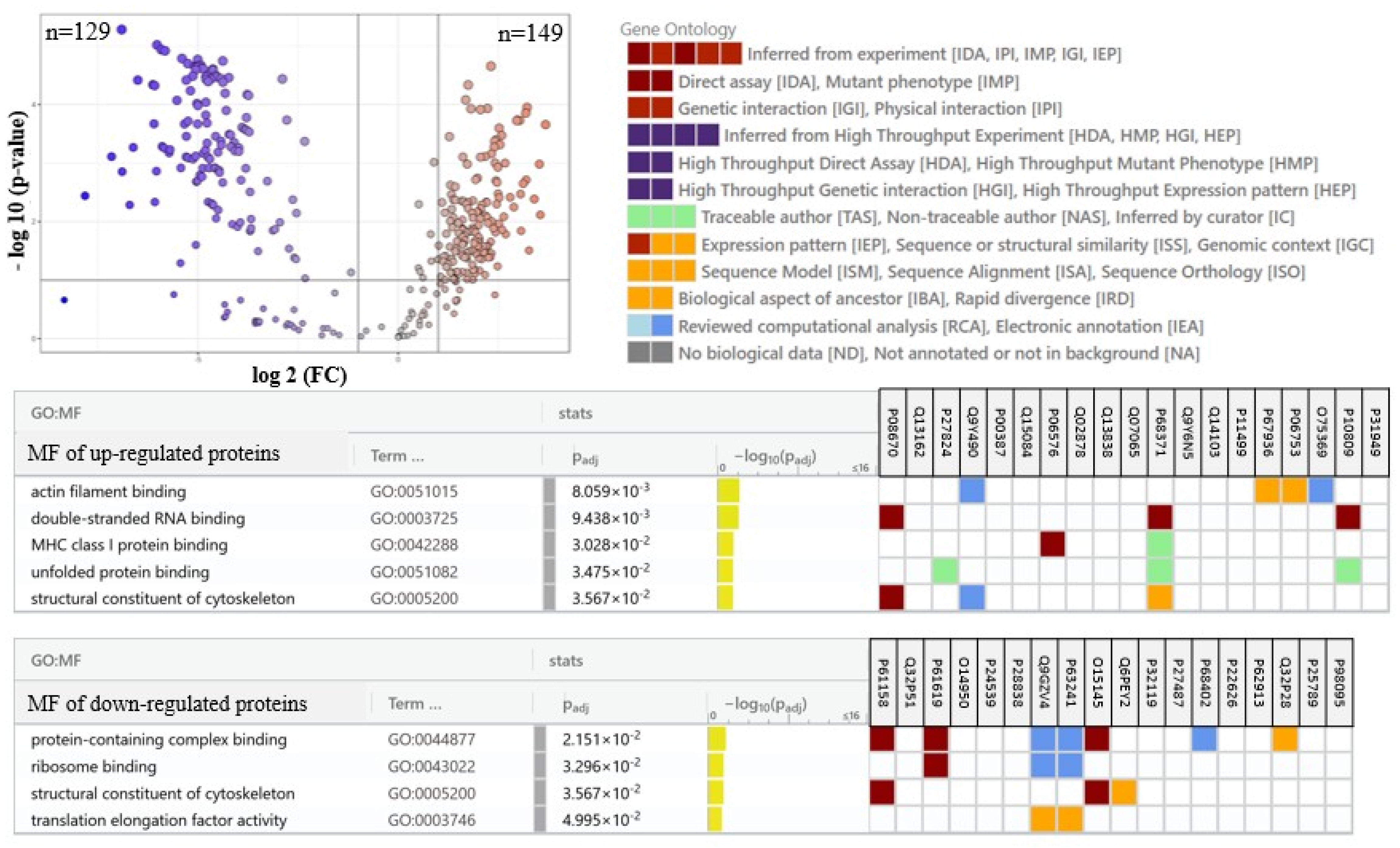 Marinedrugs 23 00454 g004 Marinedrugs 23 00454 g004