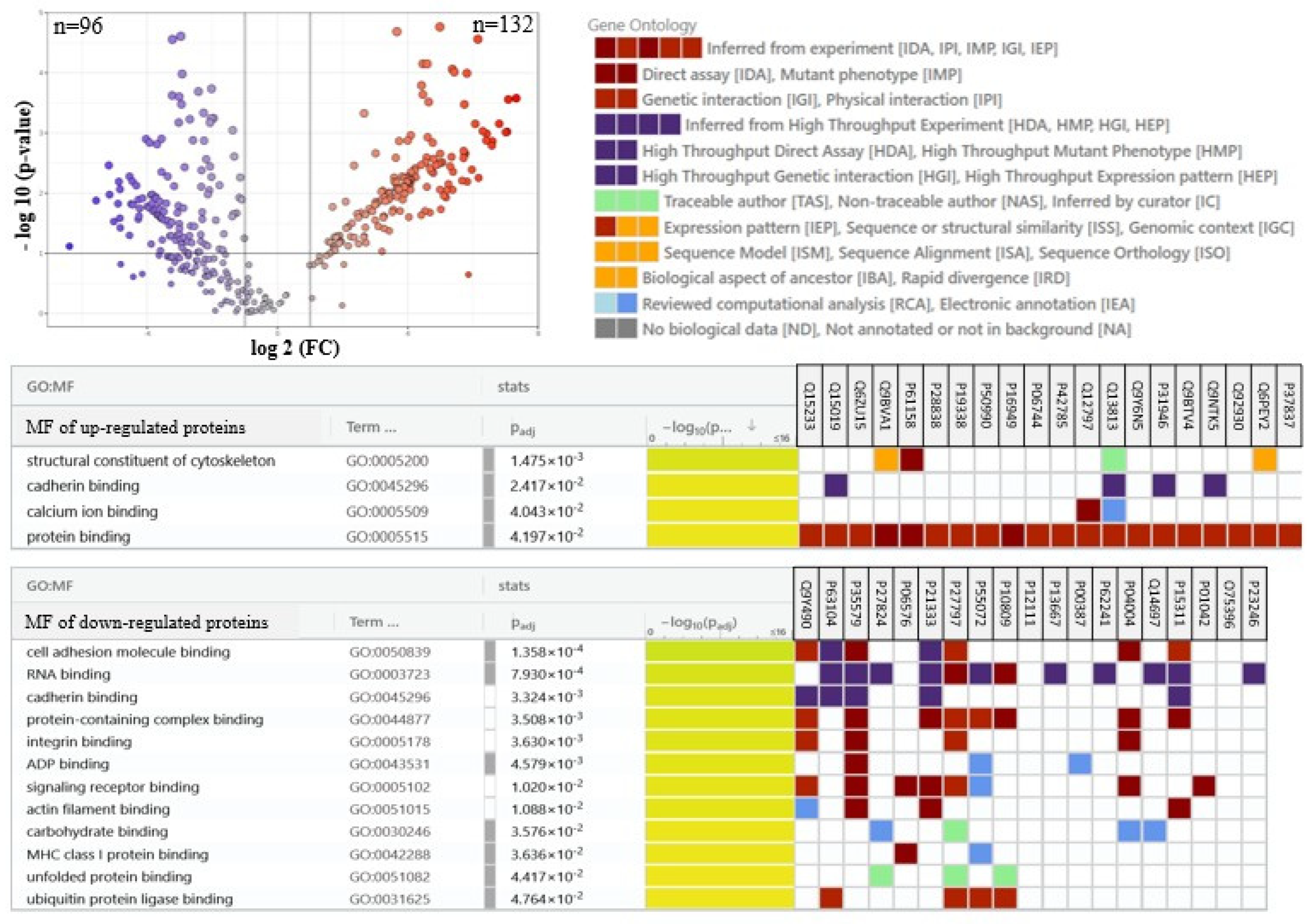 Marinedrugs 23 00454 g005 Marinedrugs 23 00454 g005