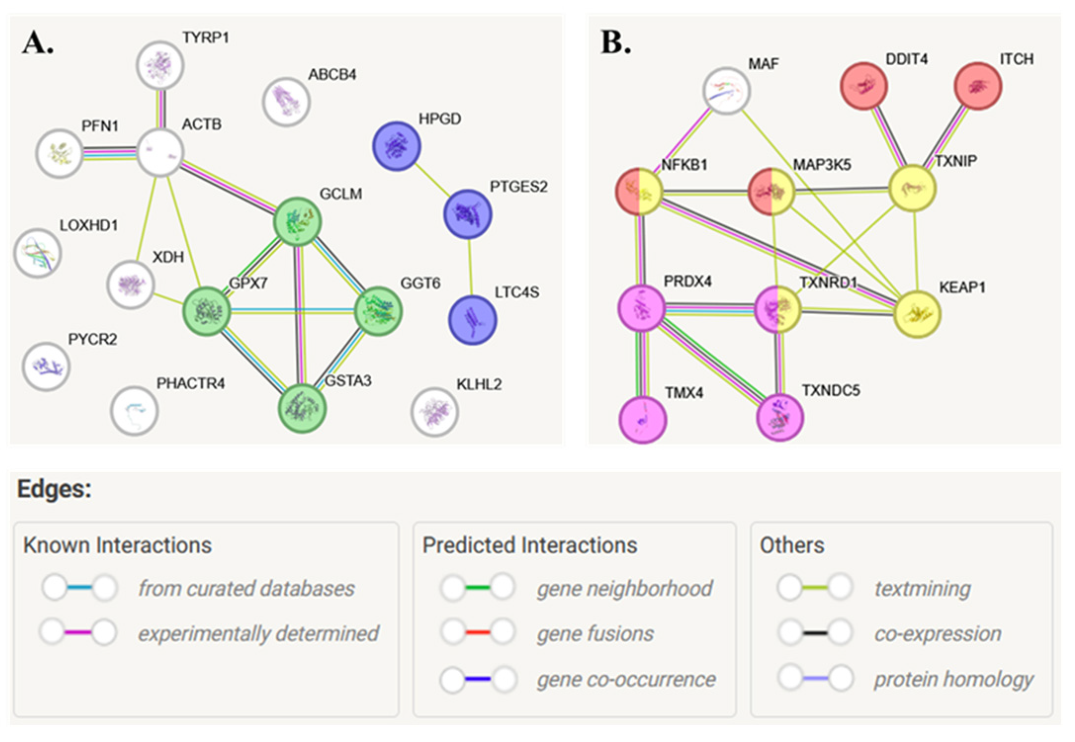 Marinedrugs 23 00454 g008 Marinedrugs 23 00454 g008