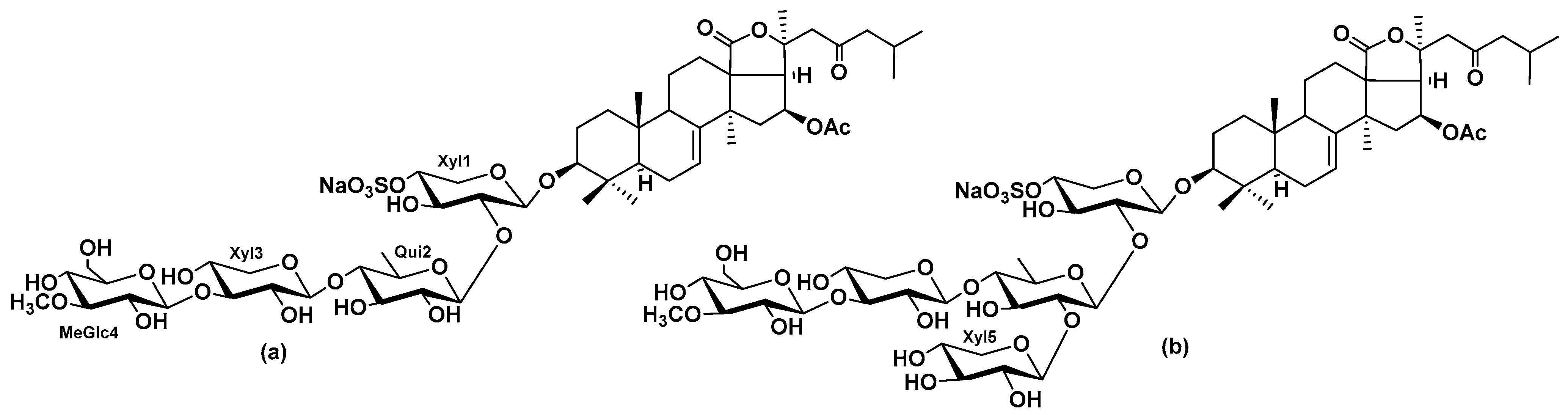 Marinedrugs 23 00456 g001