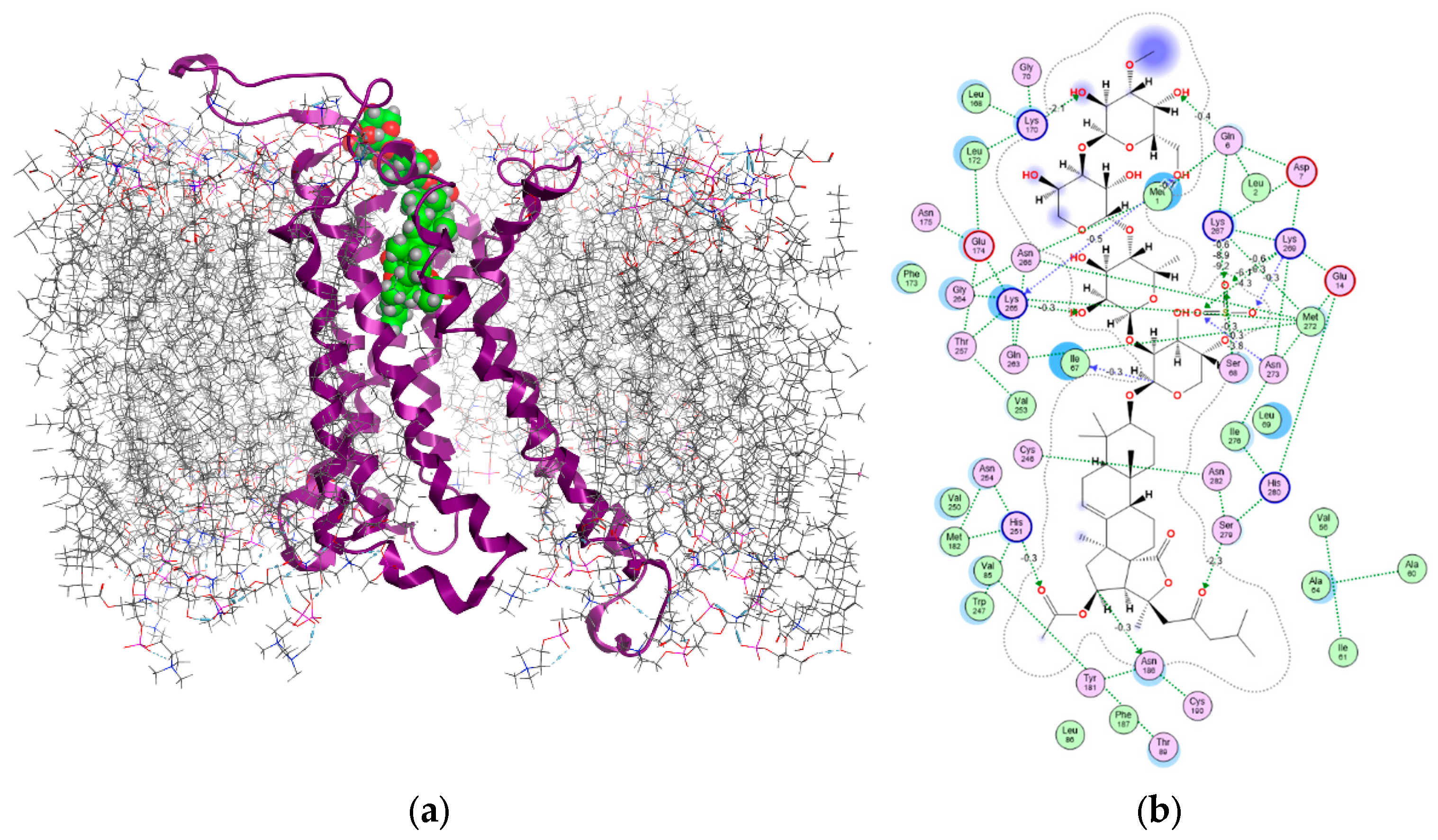 Marinedrugs 23 00456 g005