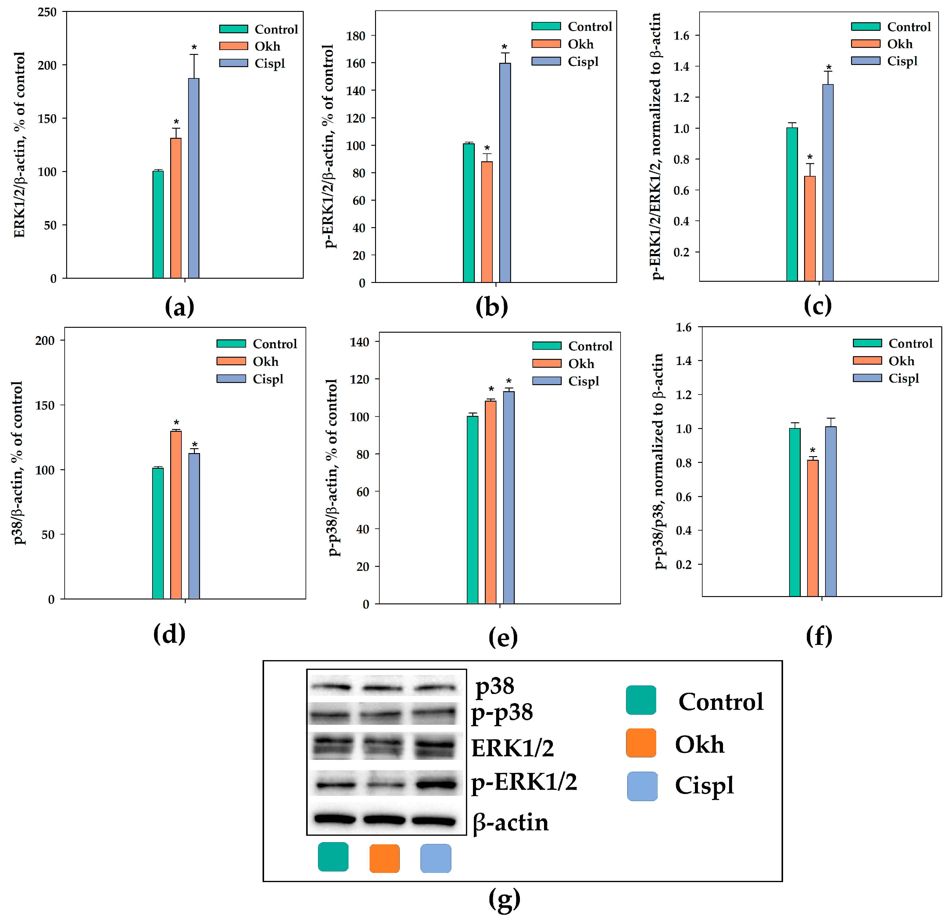 Marinedrugs 23 00456 g007