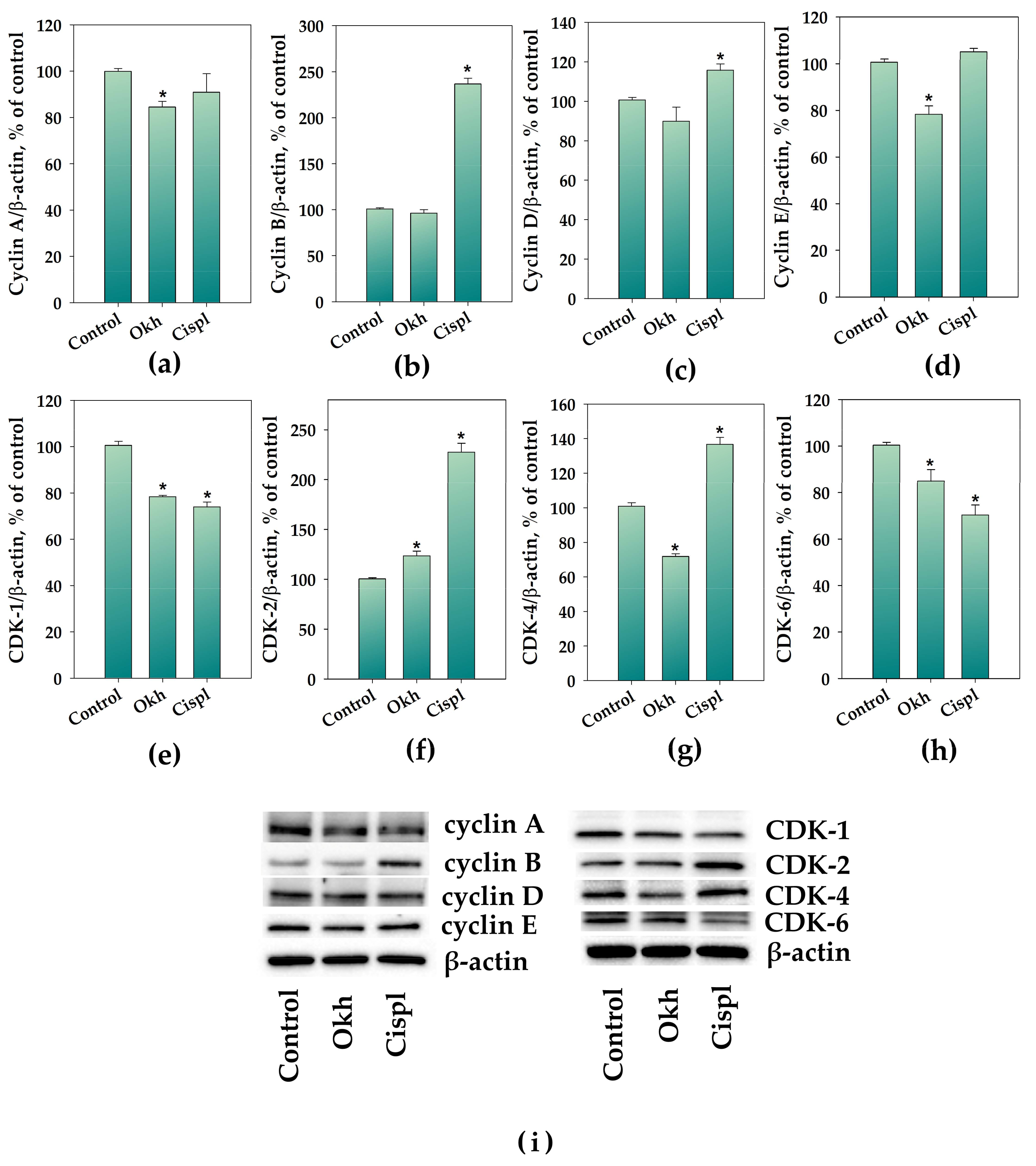 Marinedrugs 23 00456 g008