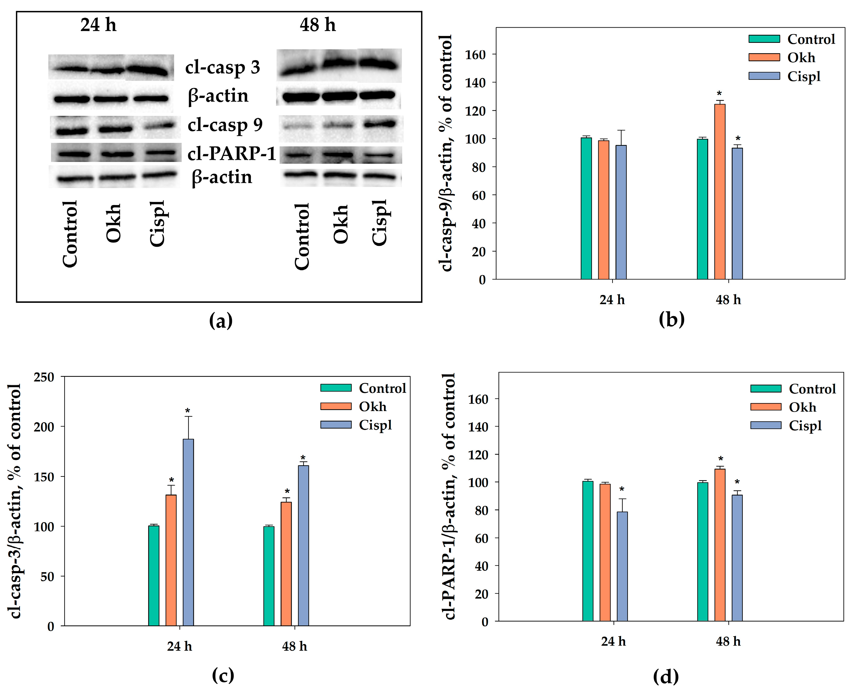 Marinedrugs 23 00456 g013