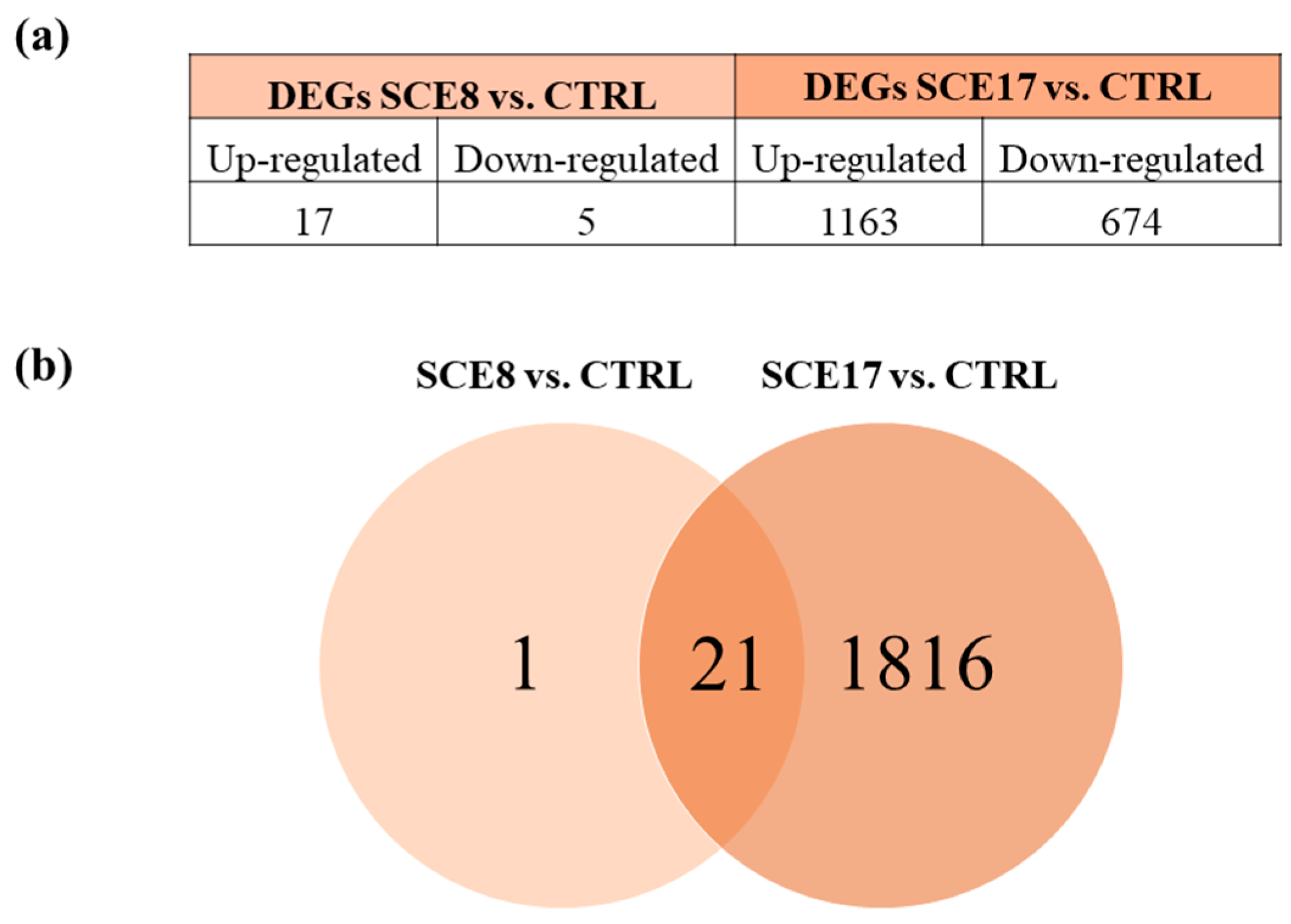 Marinedrugs 23 00457 g002 Marinedrugs 23 00457 g002