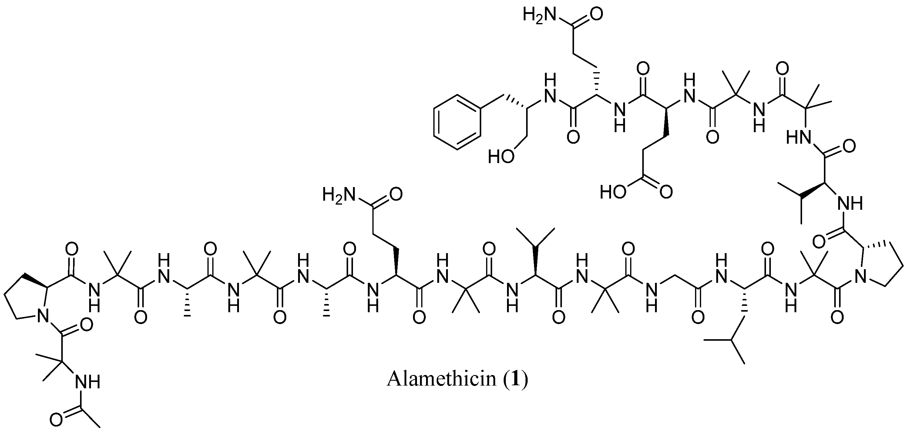 Marinedrugs 23 00458 g001 Marinedrugs 23 00458 g001