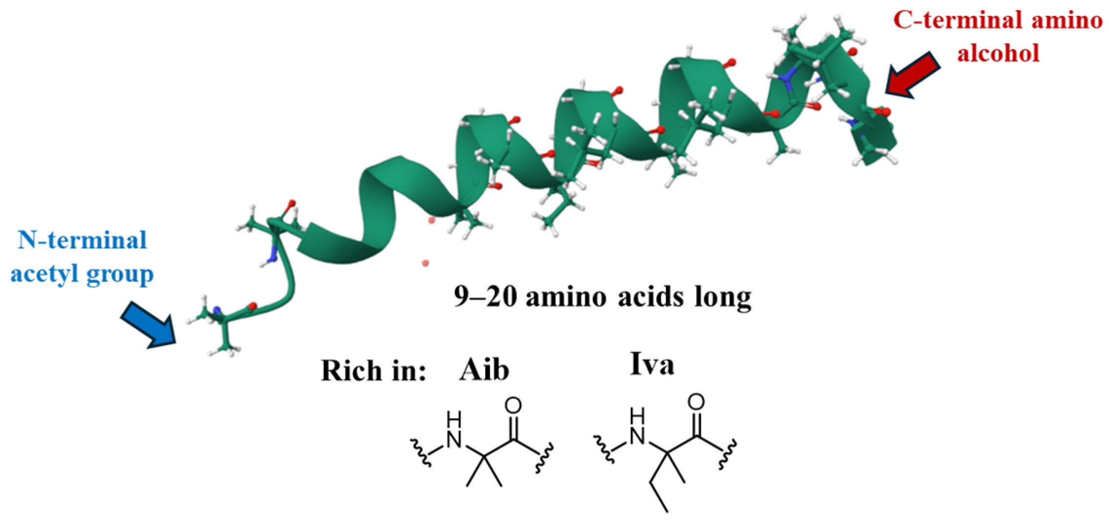 Marinedrugs 23 00458 g002 Marinedrugs 23 00458 g002