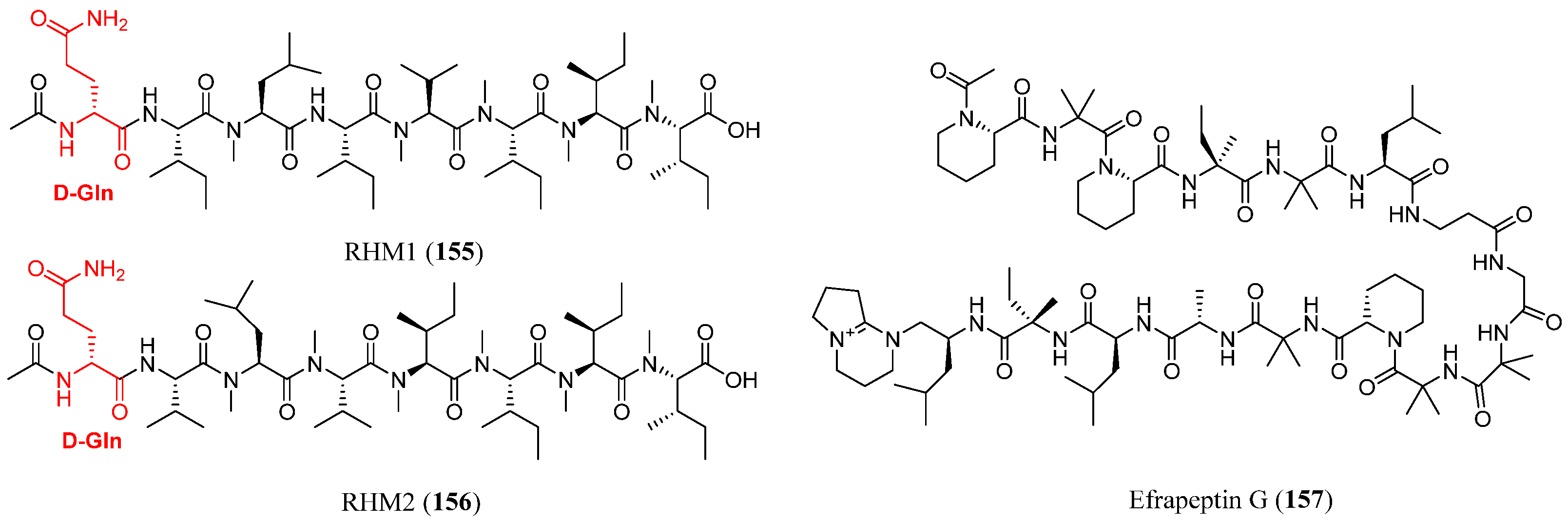 Marinedrugs 23 00458 g012 Marinedrugs 23 00458 g012