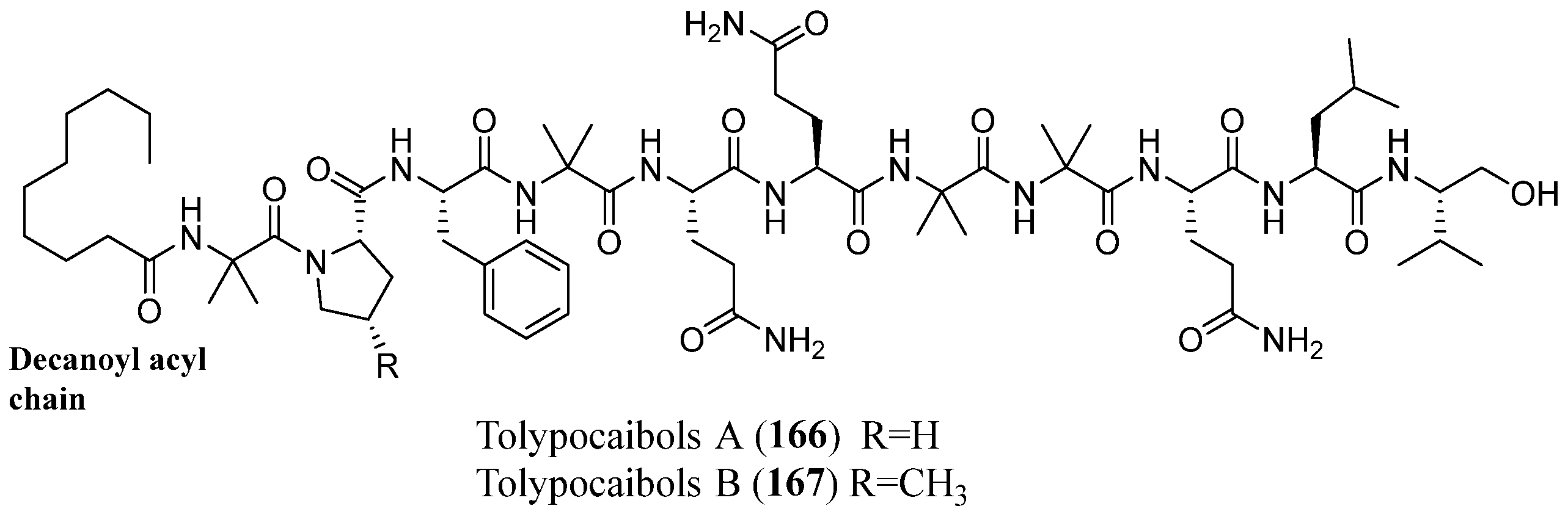 Marinedrugs 23 00458 g015 Marinedrugs 23 00458 g015