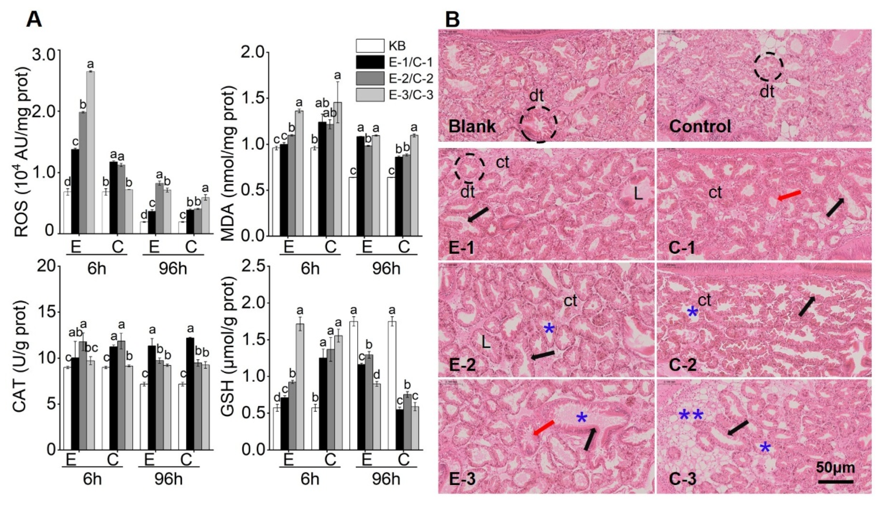 Marinedrugs 23 00459 g004