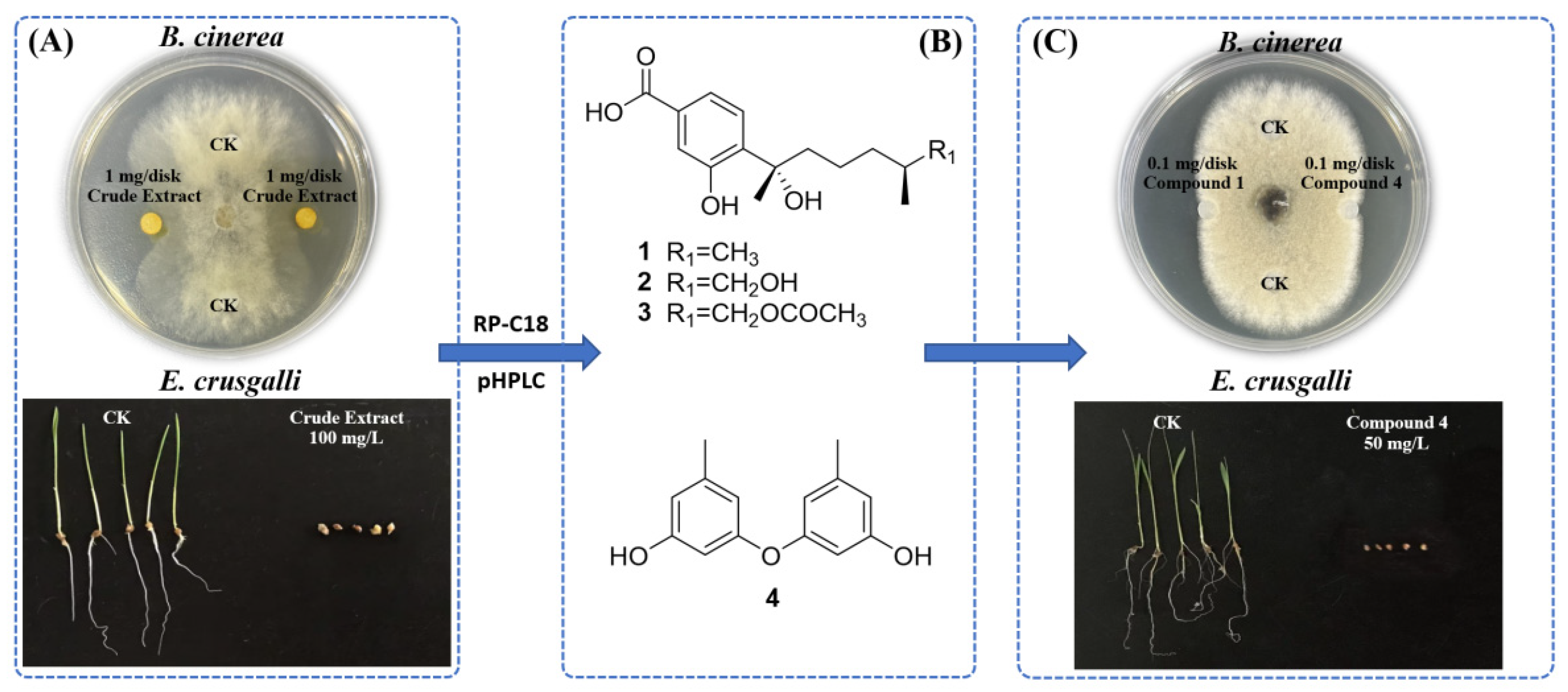 Marinedrugs 23 00460 g007