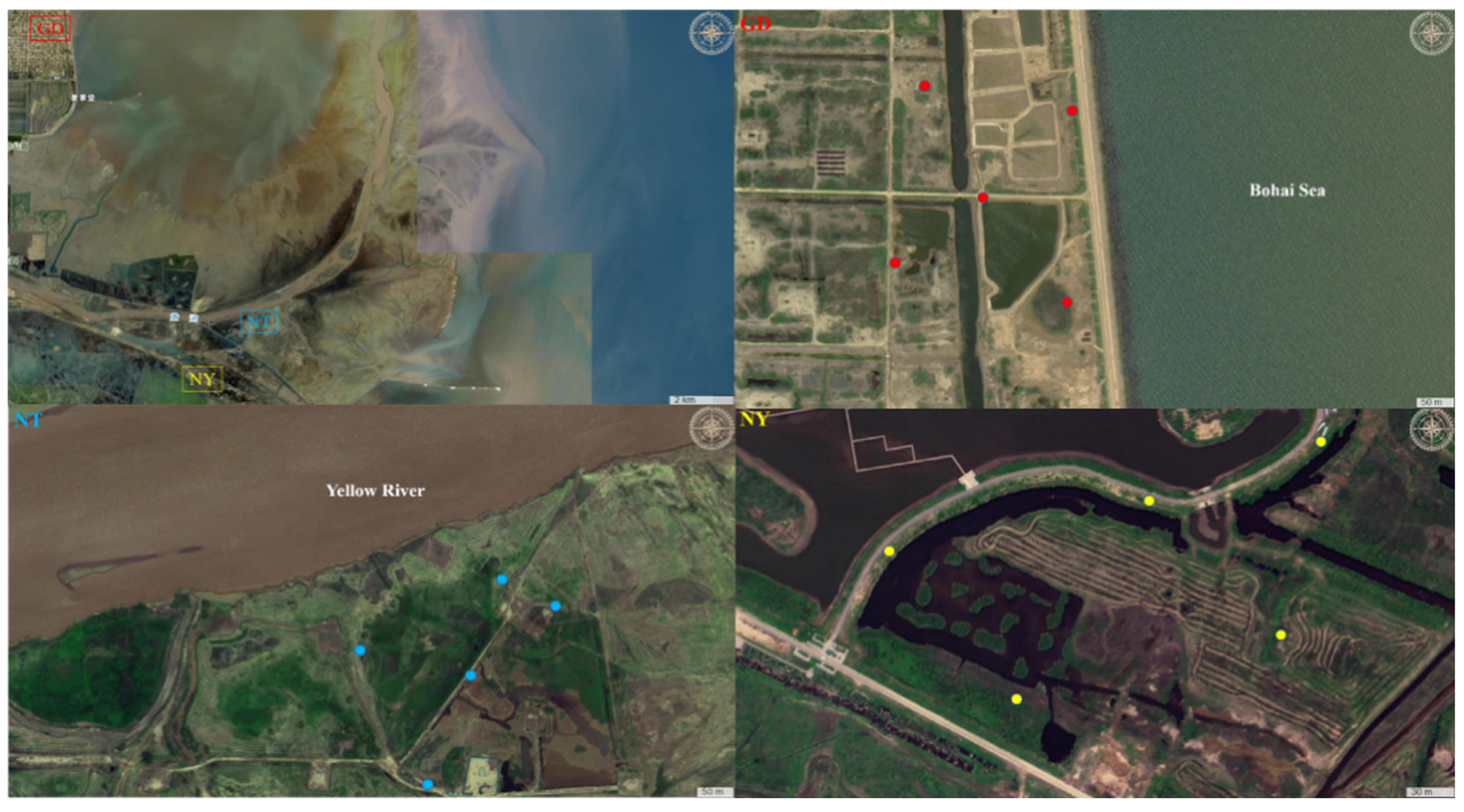 Marinedrugs 23 00460 g008