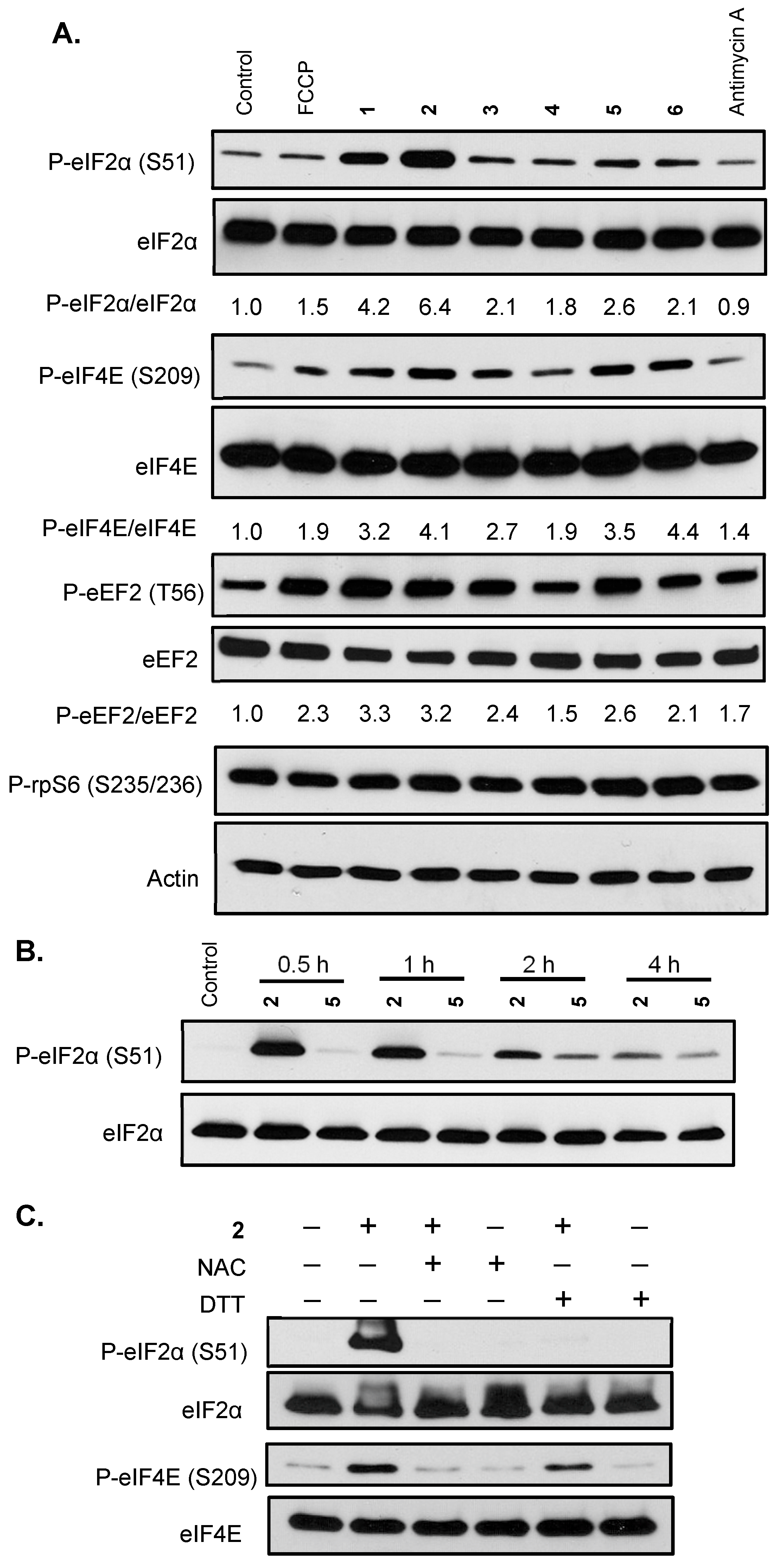 Marinedrugs 23 00464 g005 Marinedrugs 23 00464 g005