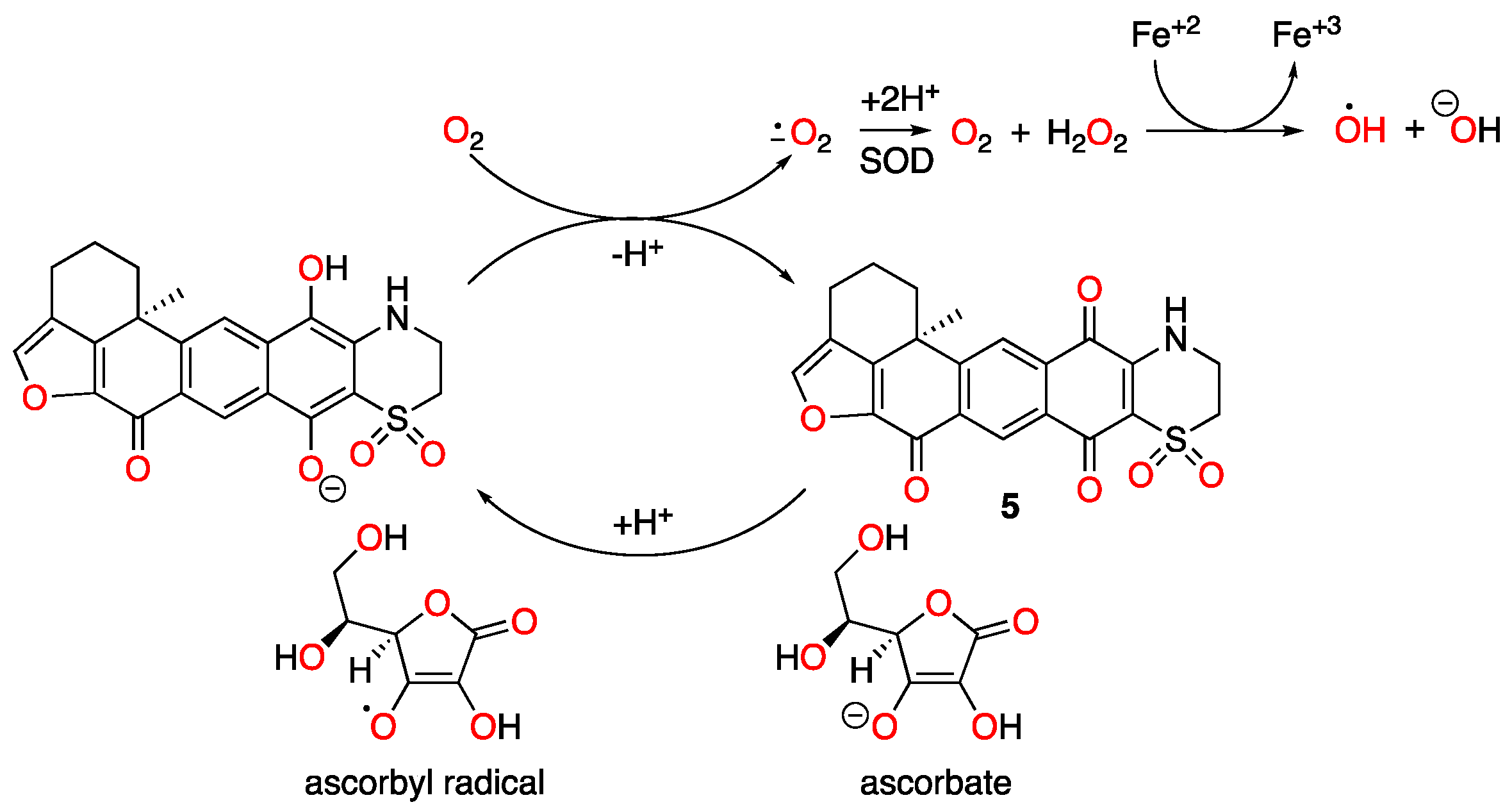 Marinedrugs 23 00464 g006 Marinedrugs 23 00464 g006