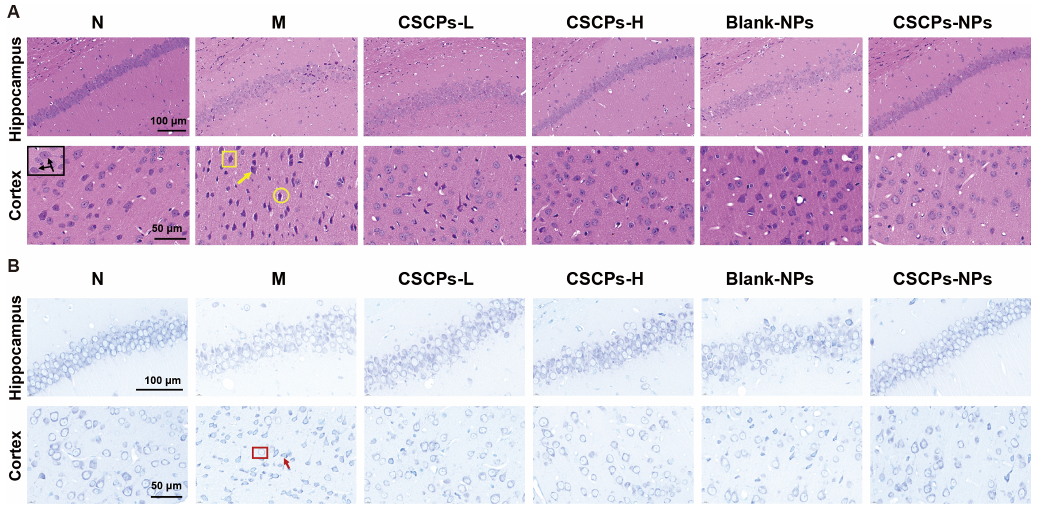 Marinedrugs 23 00472 g002 Marinedrugs 23 00472 g002