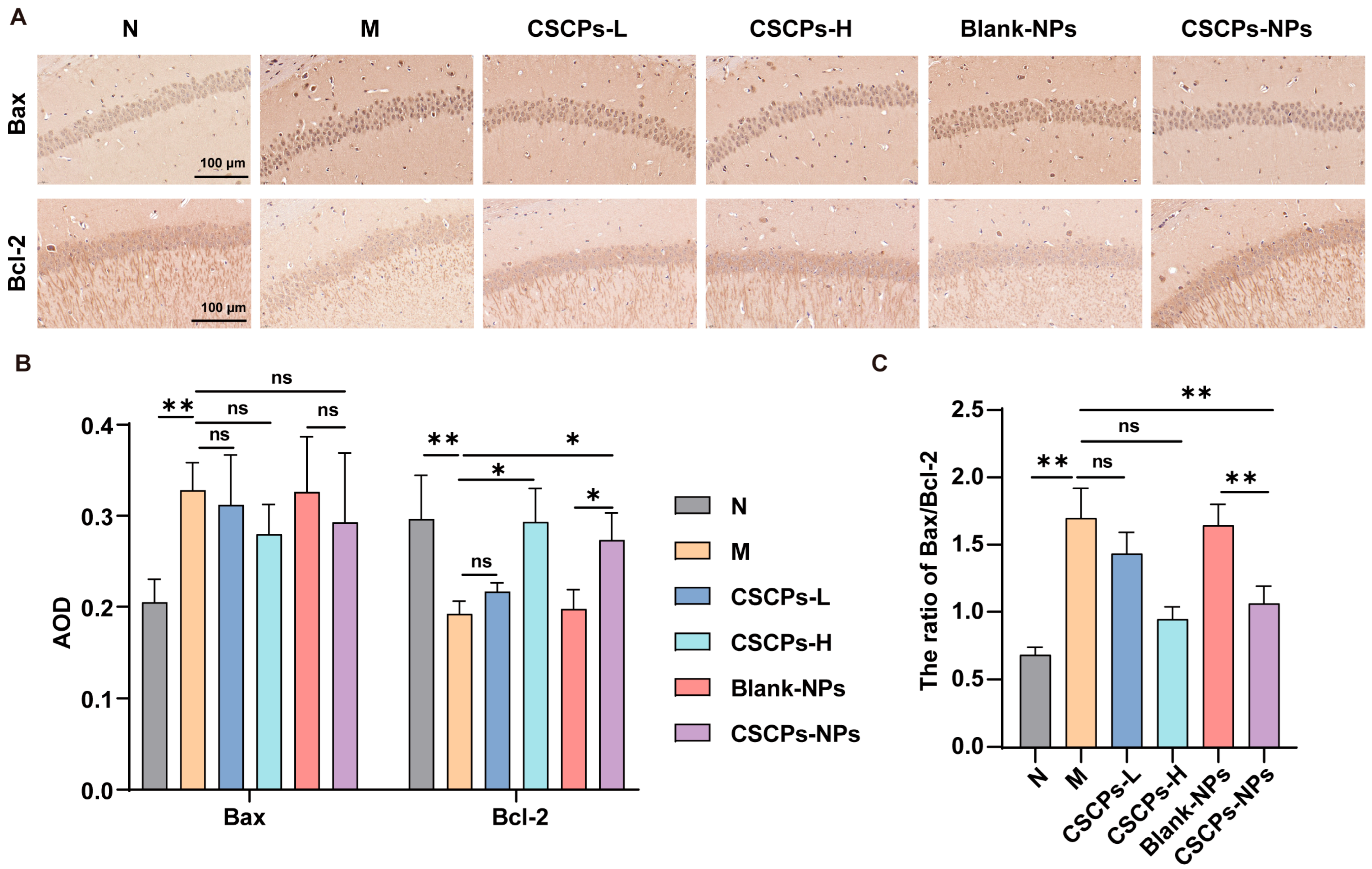 Marinedrugs 23 00472 g004 Marinedrugs 23 00472 g004