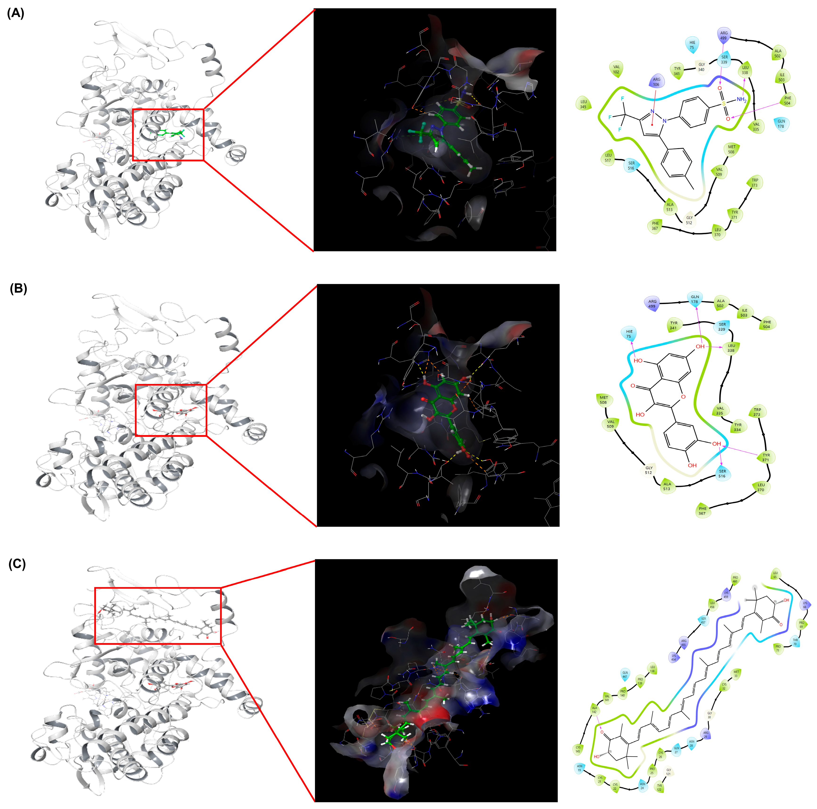 Marinedrugs 23 00473 g006