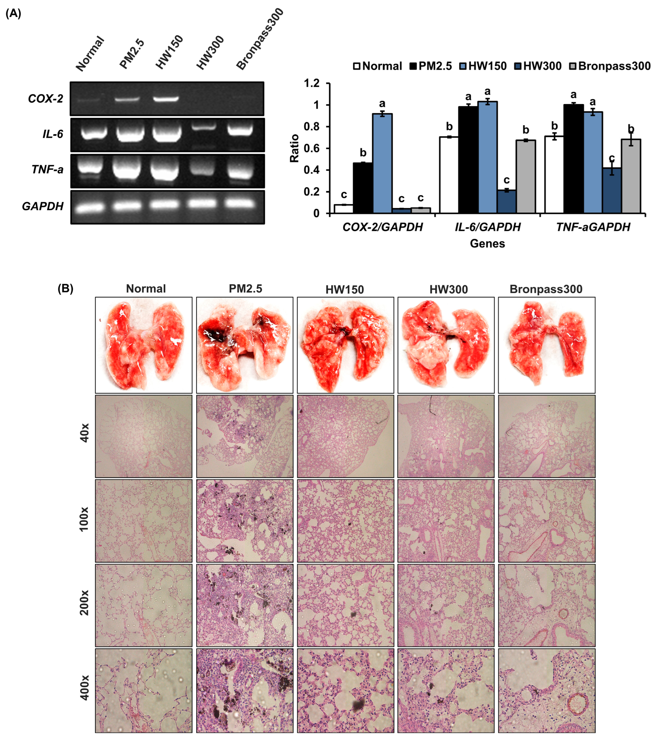 Marinedrugs 23 00473 g009