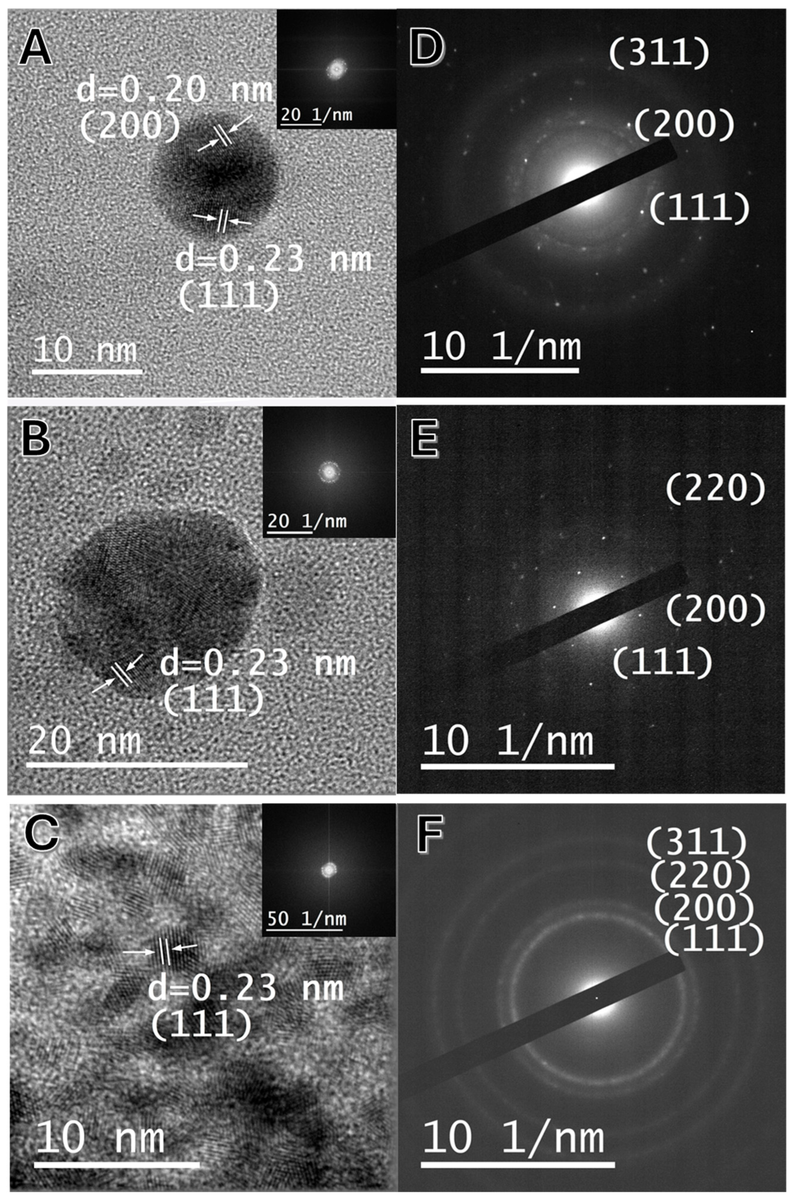 Marinedrugs 23 00479 g004 Marinedrugs 23 00479 g004