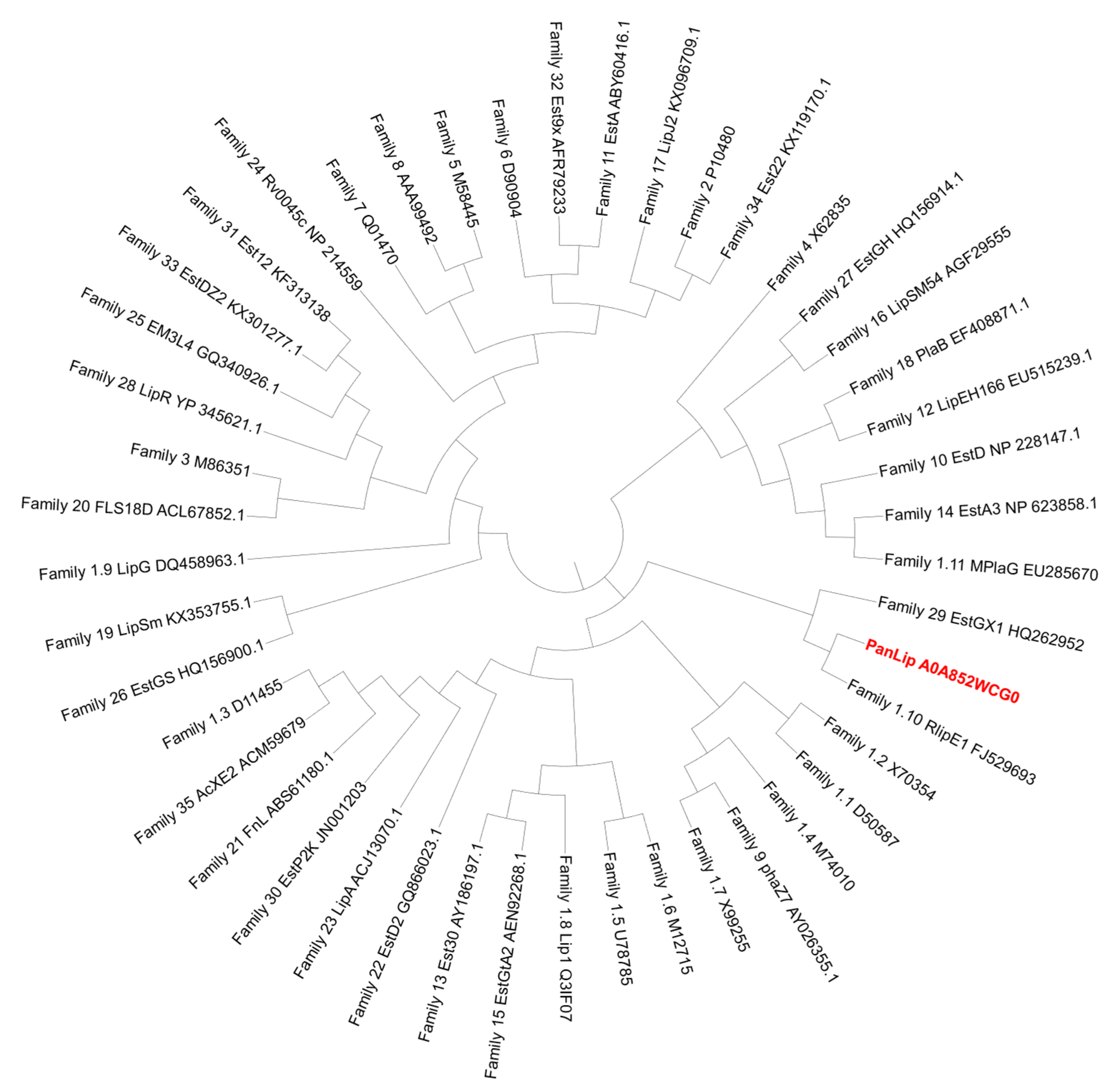 Marinedrugs 23 00480 g002 Marinedrugs 23 00480 g002