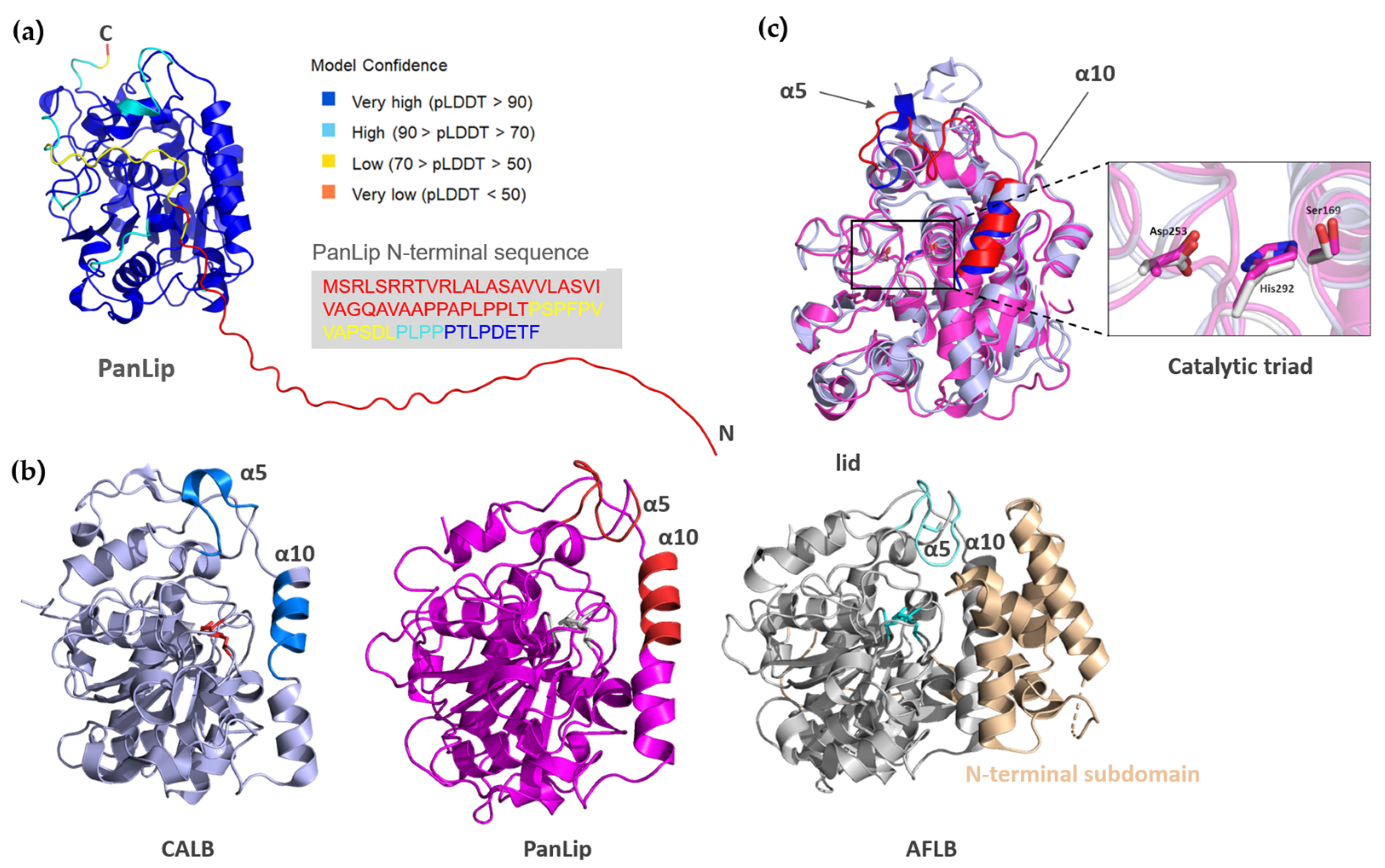 Marinedrugs 23 00480 g008 Marinedrugs 23 00480 g008