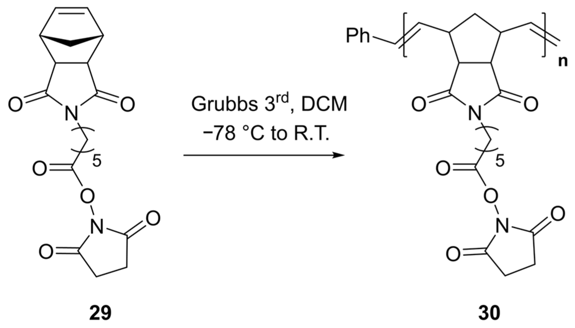 Marinedrugs 23 00486 sch001