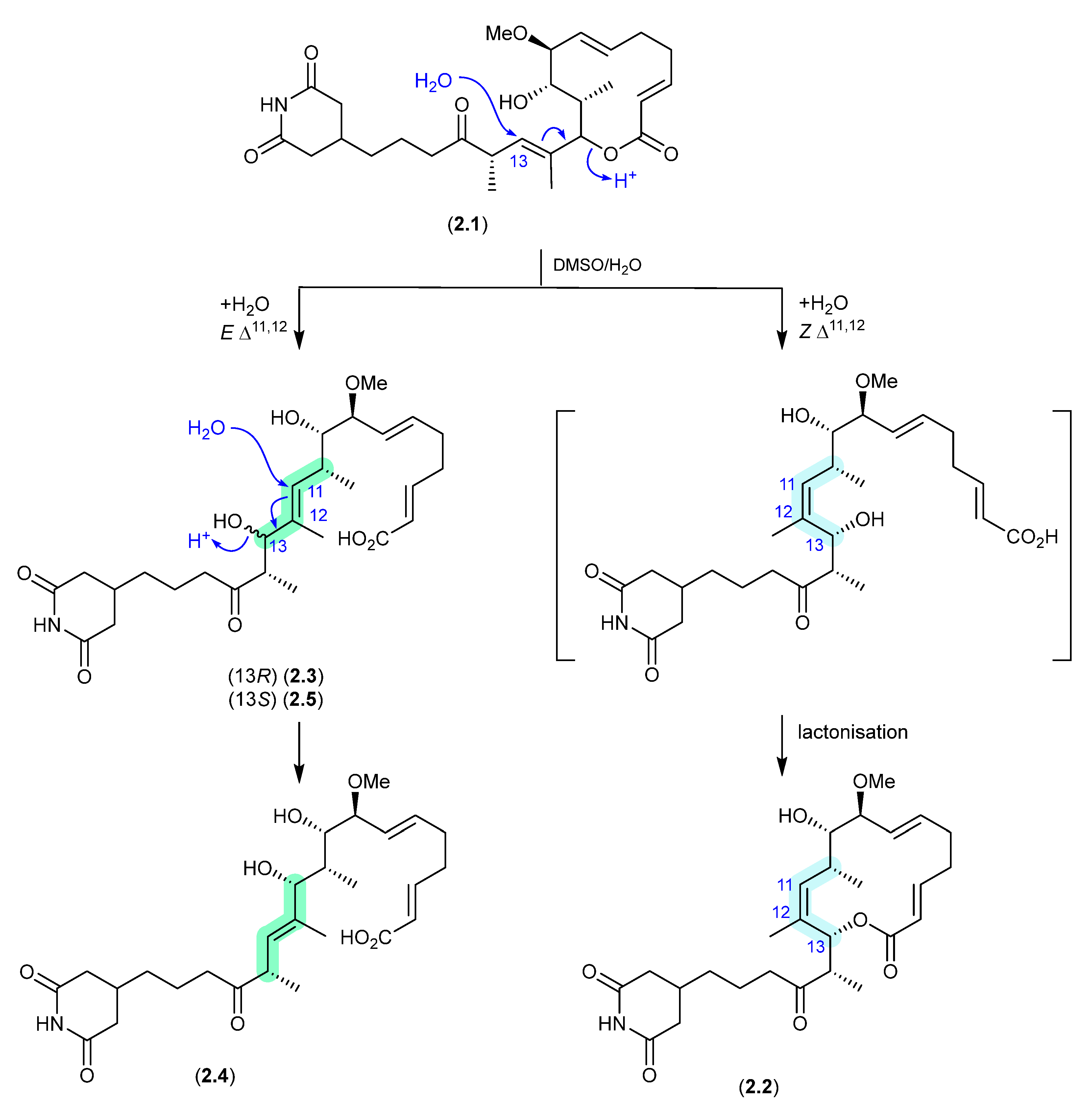 Marinedrugs 24 00005 g001