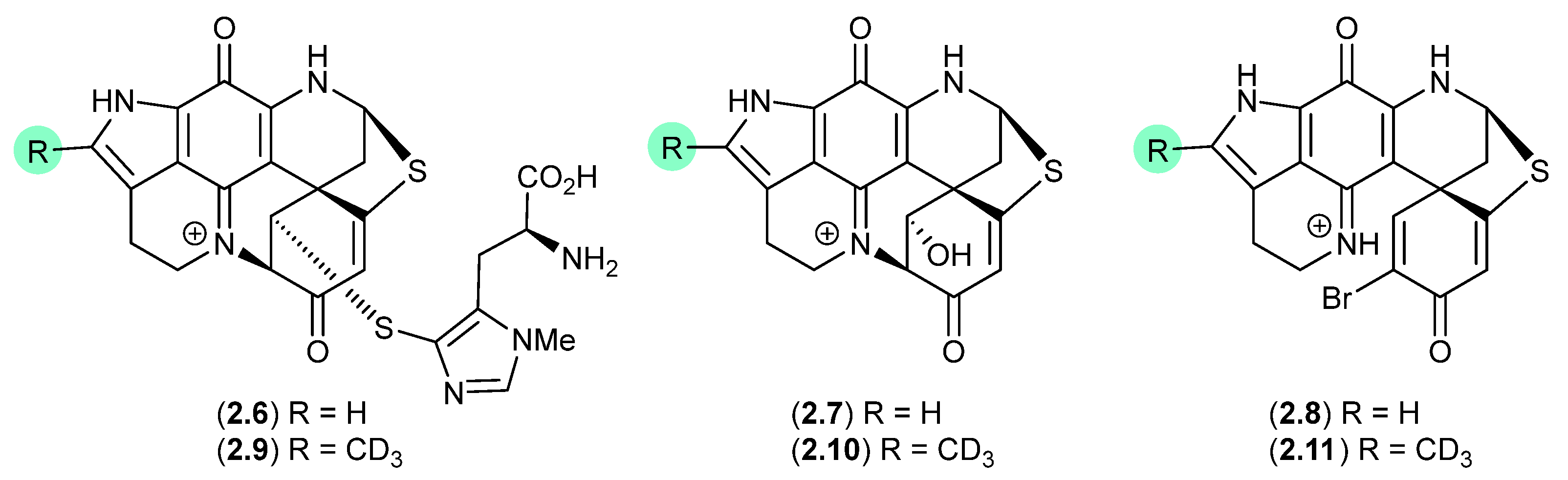 Marinedrugs 24 00005 g002