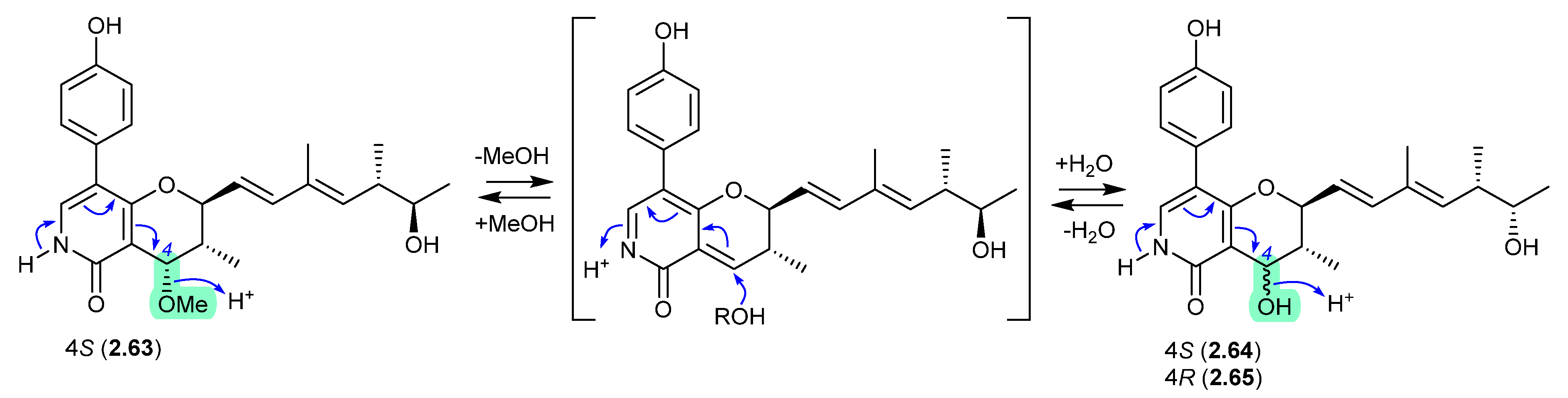 Marinedrugs 24 00005 g017