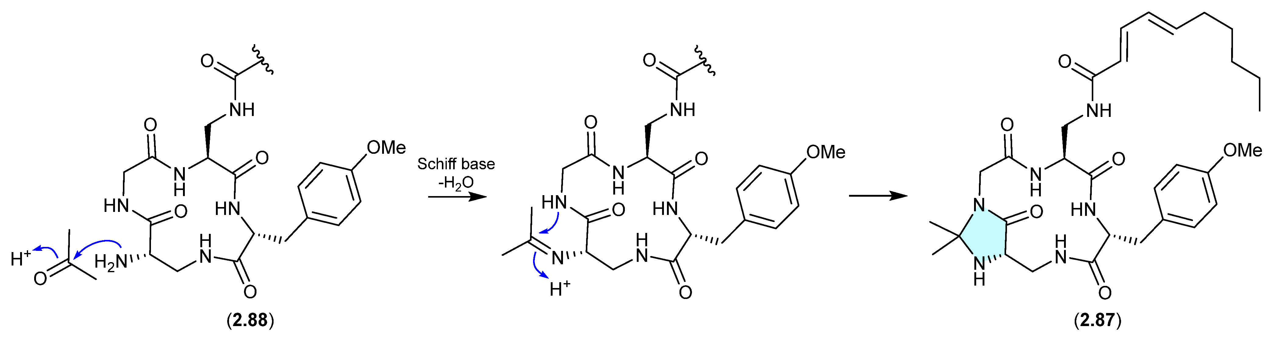 Marinedrugs 24 00005 g022