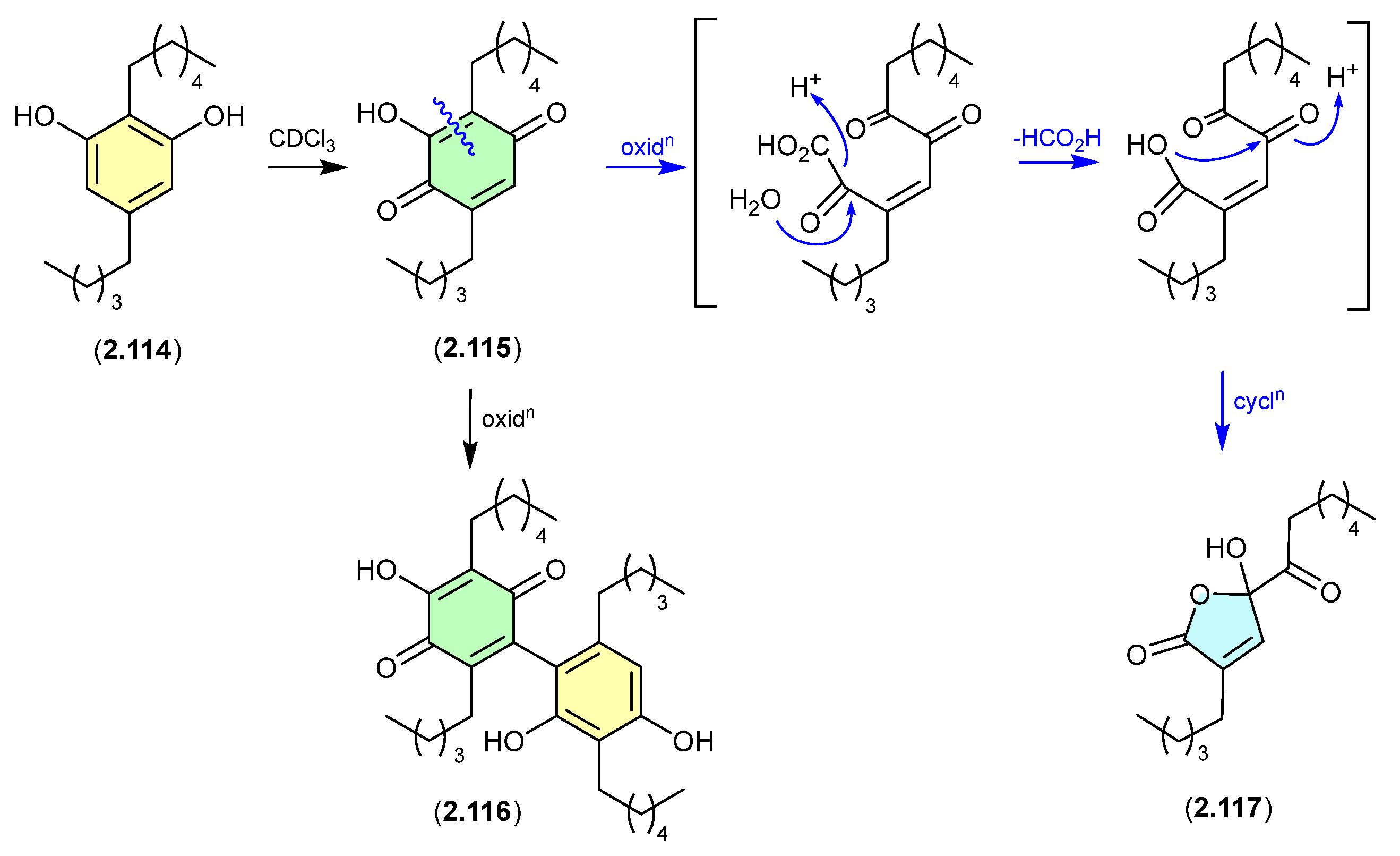 Marinedrugs 24 00005 g031