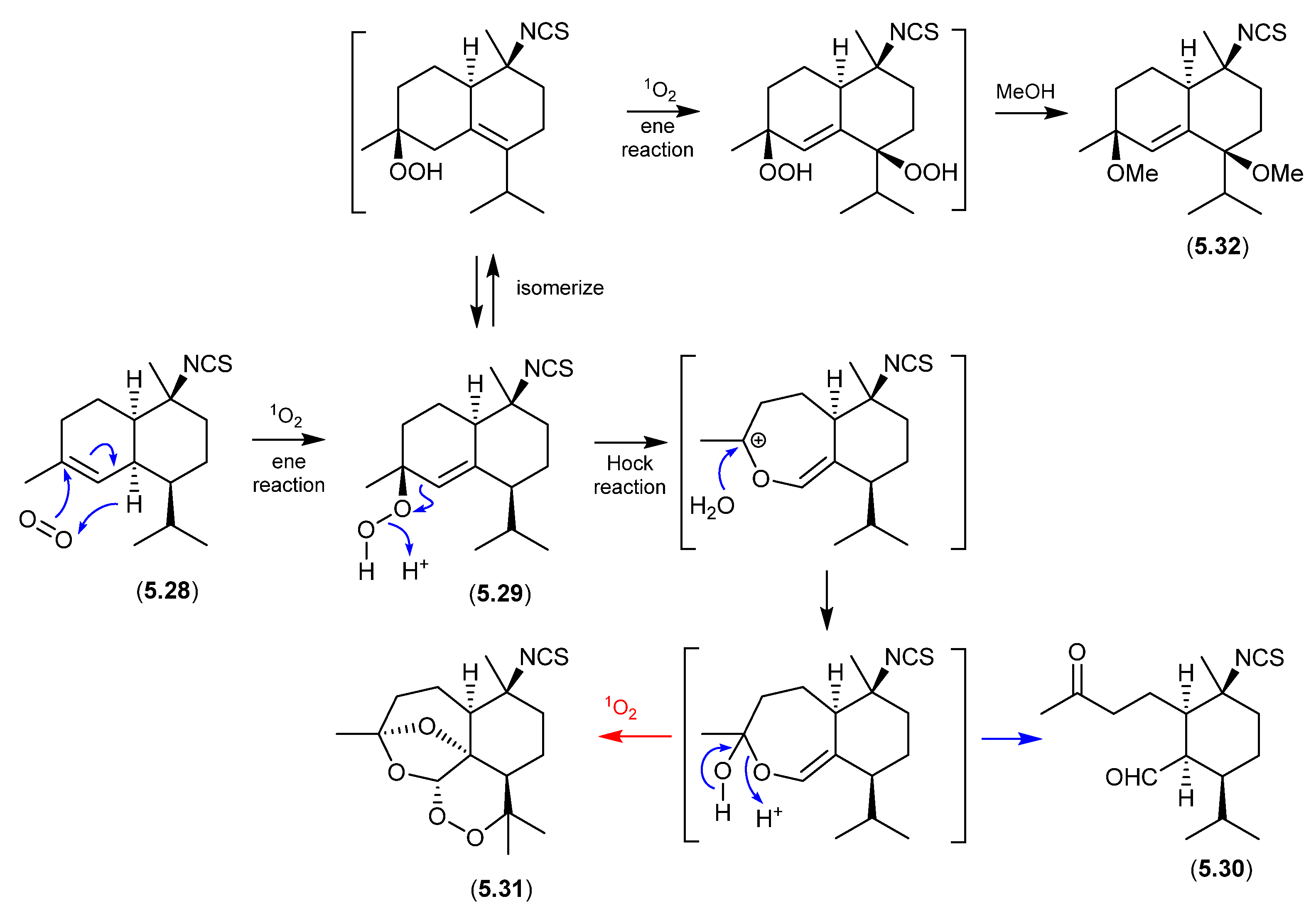 Marinedrugs 24 00005 g067