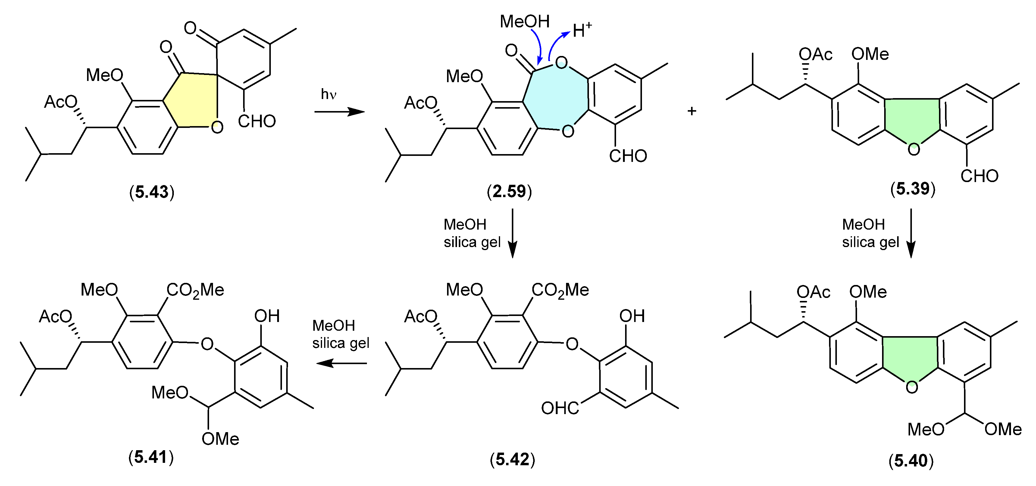 Marinedrugs 24 00005 g069