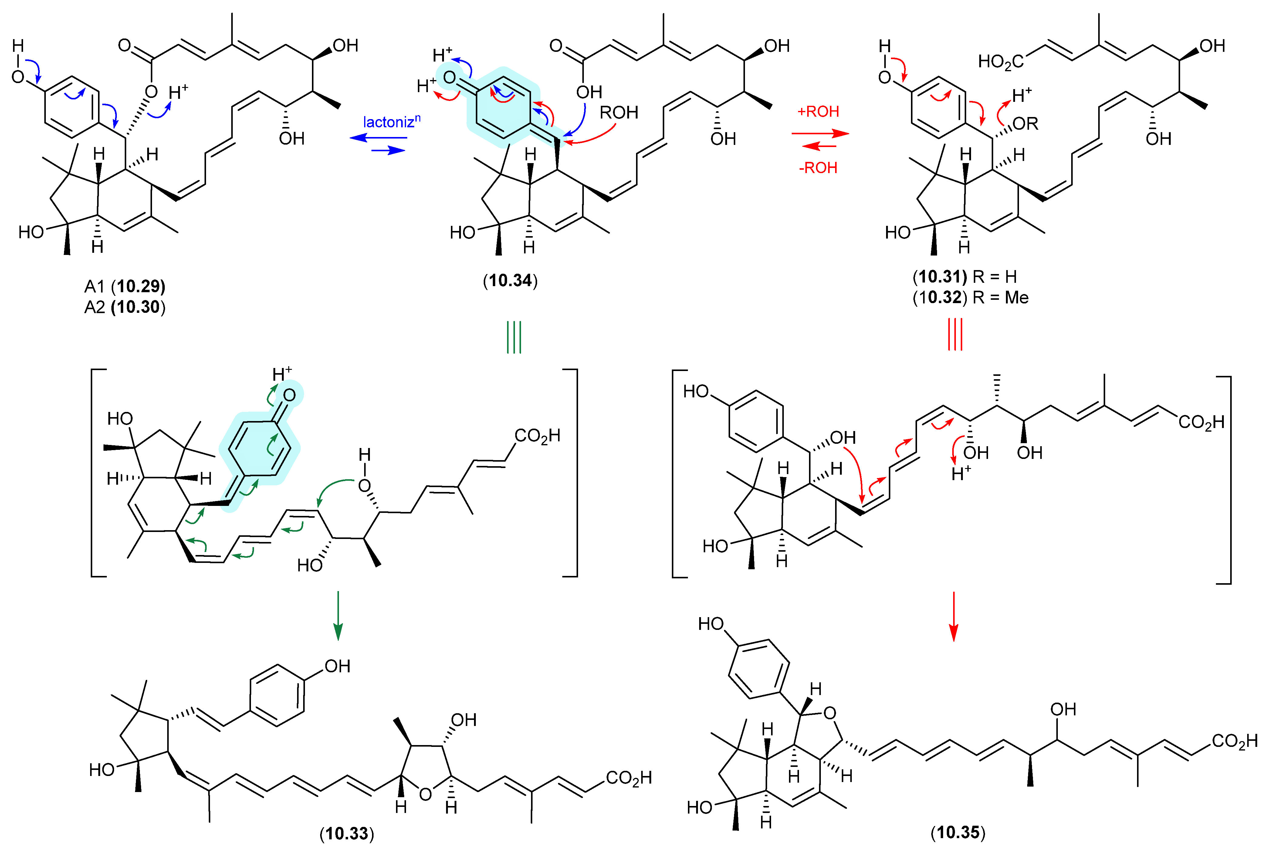 Marinedrugs 24 00005 g088