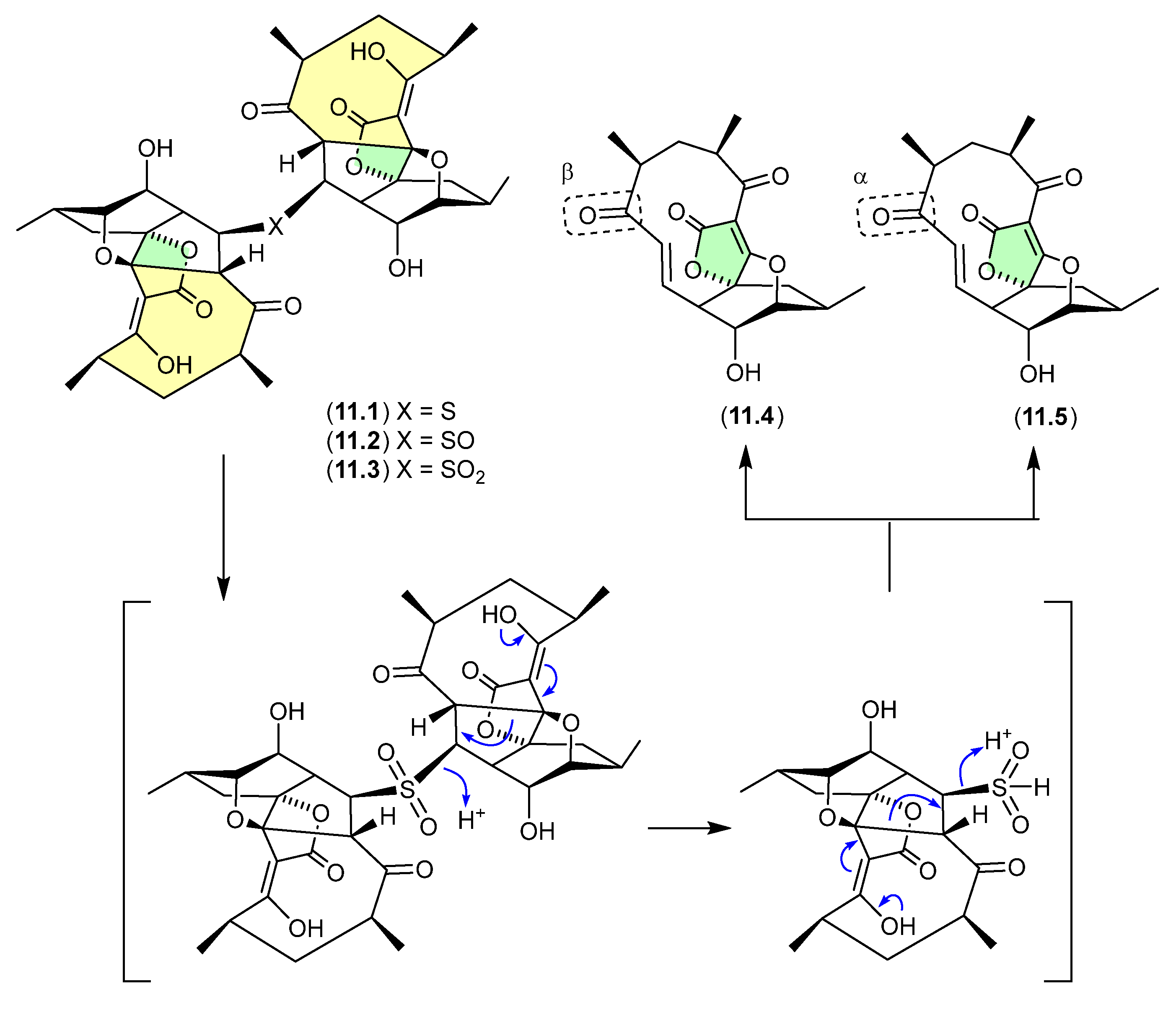 Marinedrugs 24 00005 g089