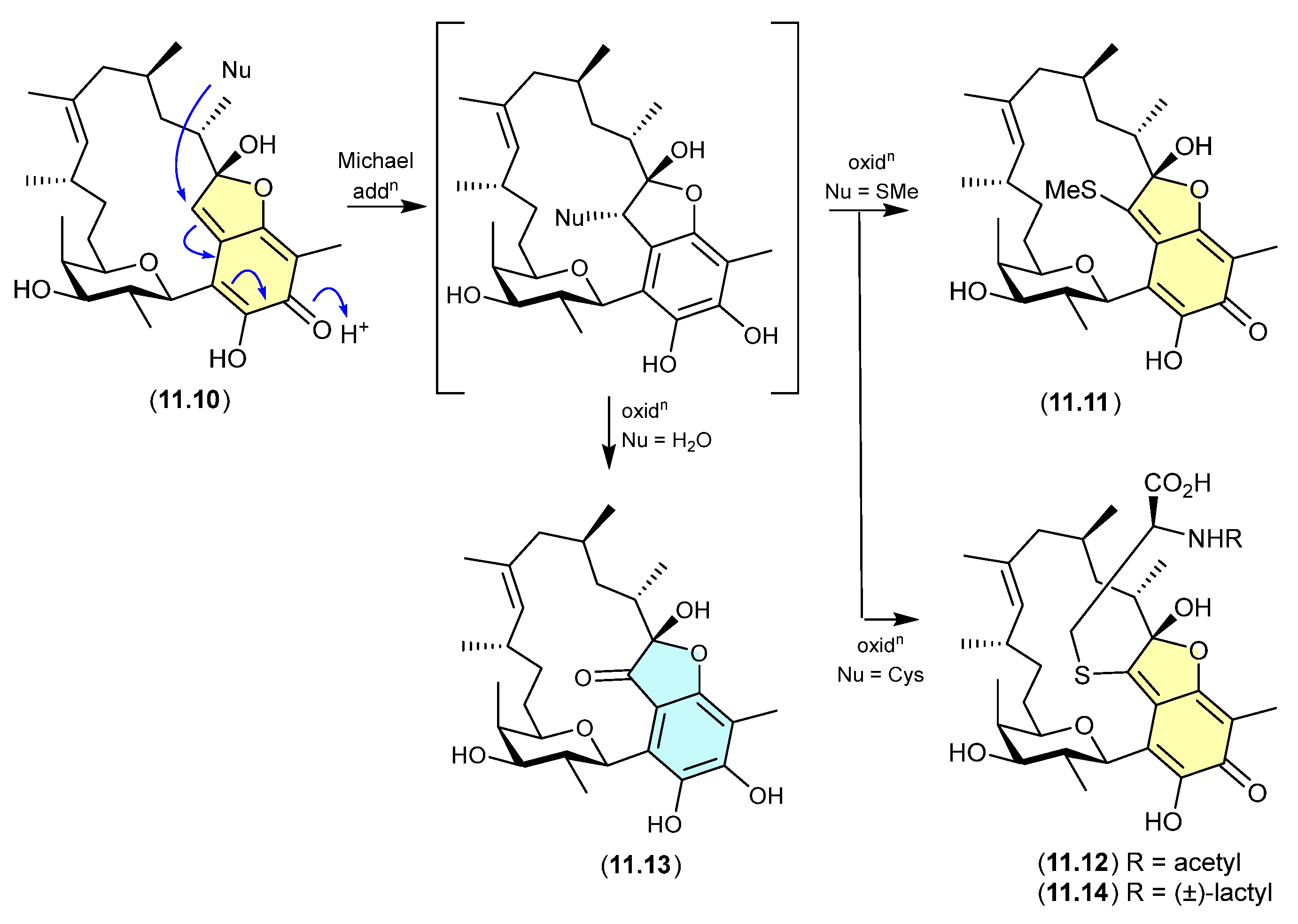 Marinedrugs 24 00005 g091